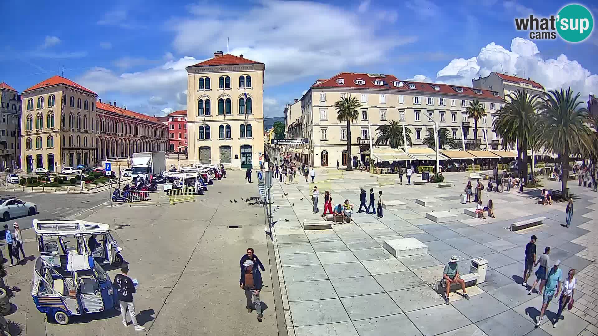 Webcam Split Riva – Prokurative | Trg Republike