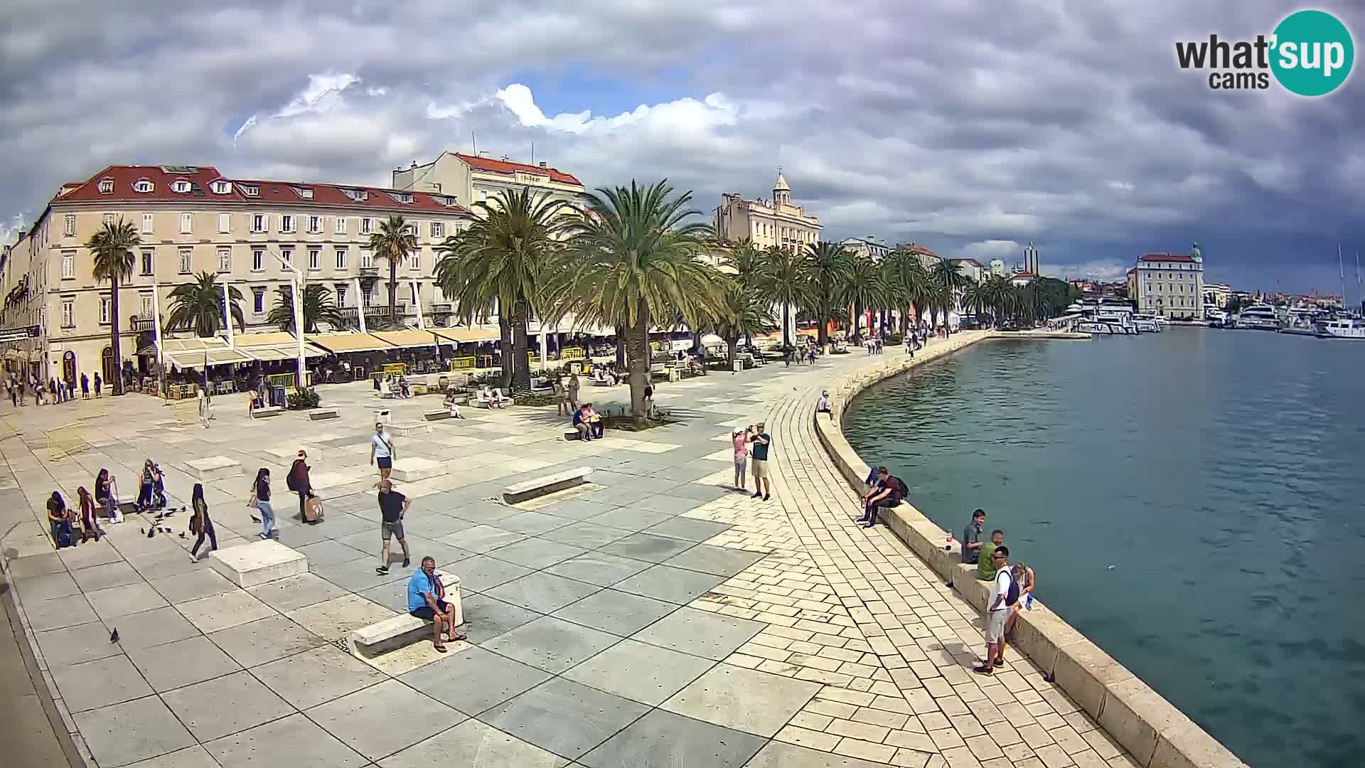 Webcam Split Riva – Prokurative | Trg Republike