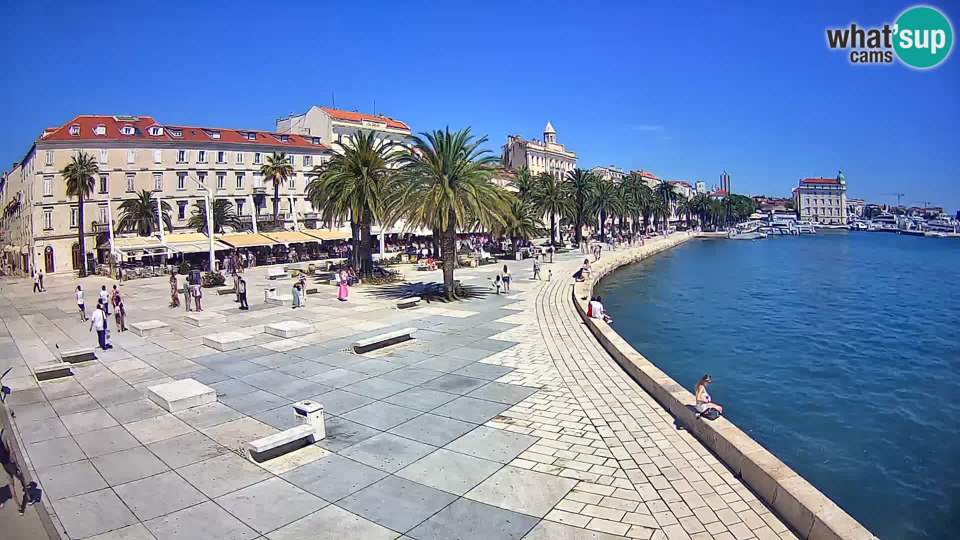 Webcam Split Riva – Prokurative | Trg Republike