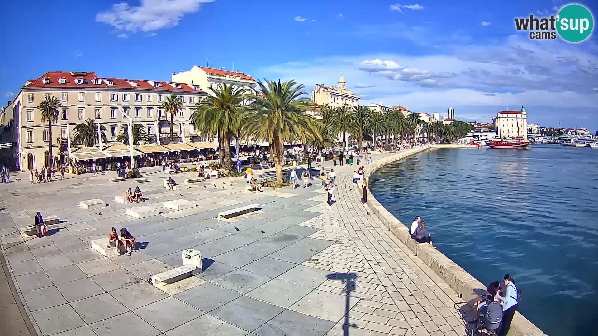 Webcam Split Riva – Prokurative | Trg Republike