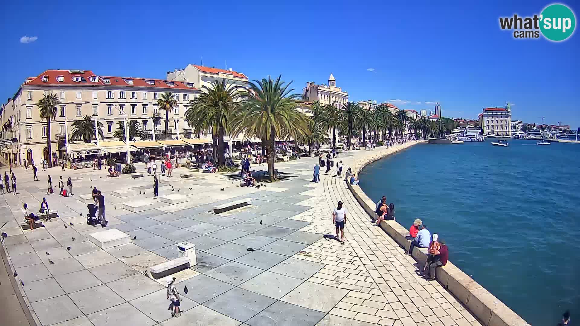 Webcam Split Riva – Prokurative | Trg Republike