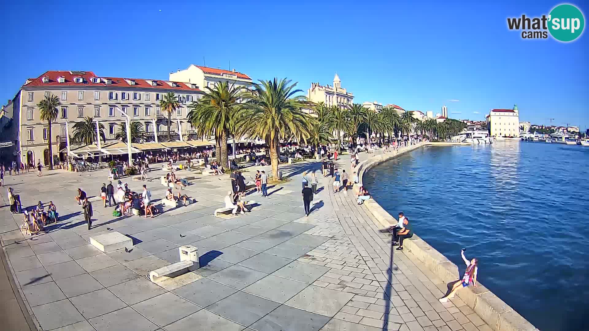 Webcam Split Riva – Prokurative | Trg Republike
