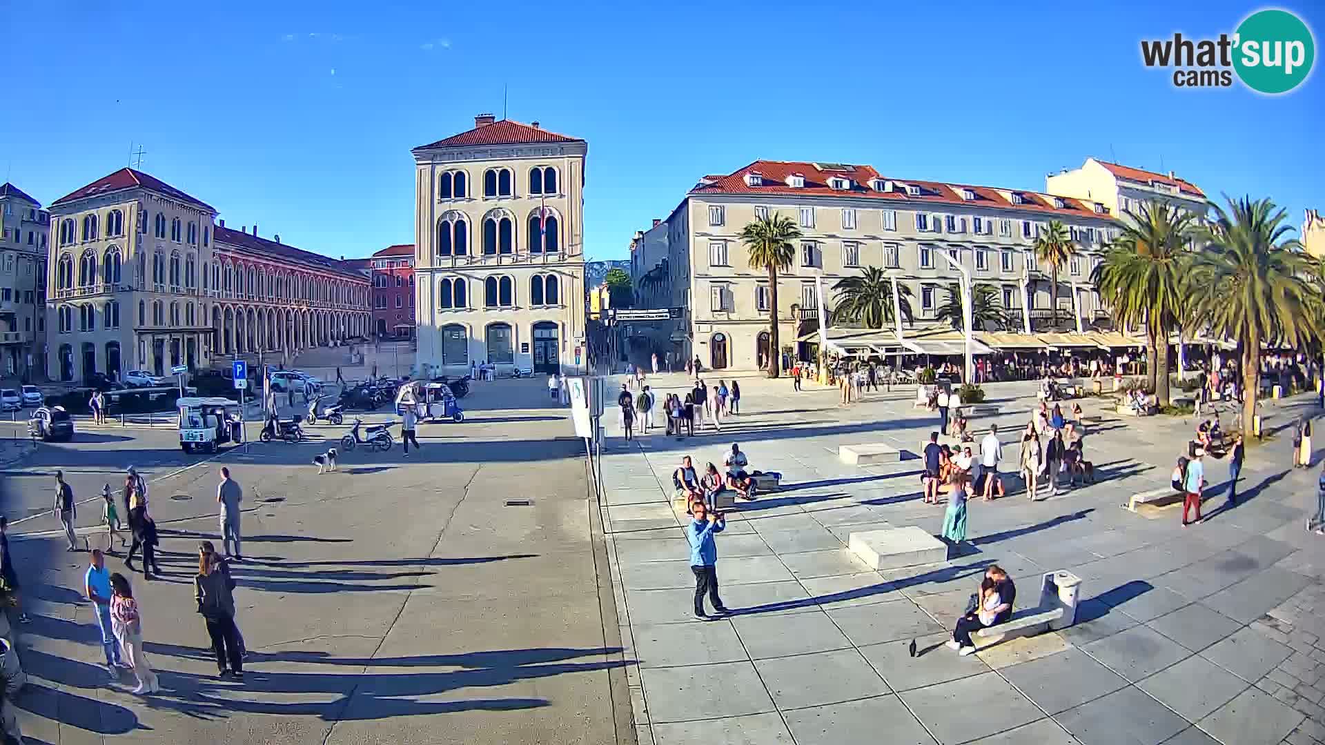 Webcam Split Riva – Prokurative | Trg Republike