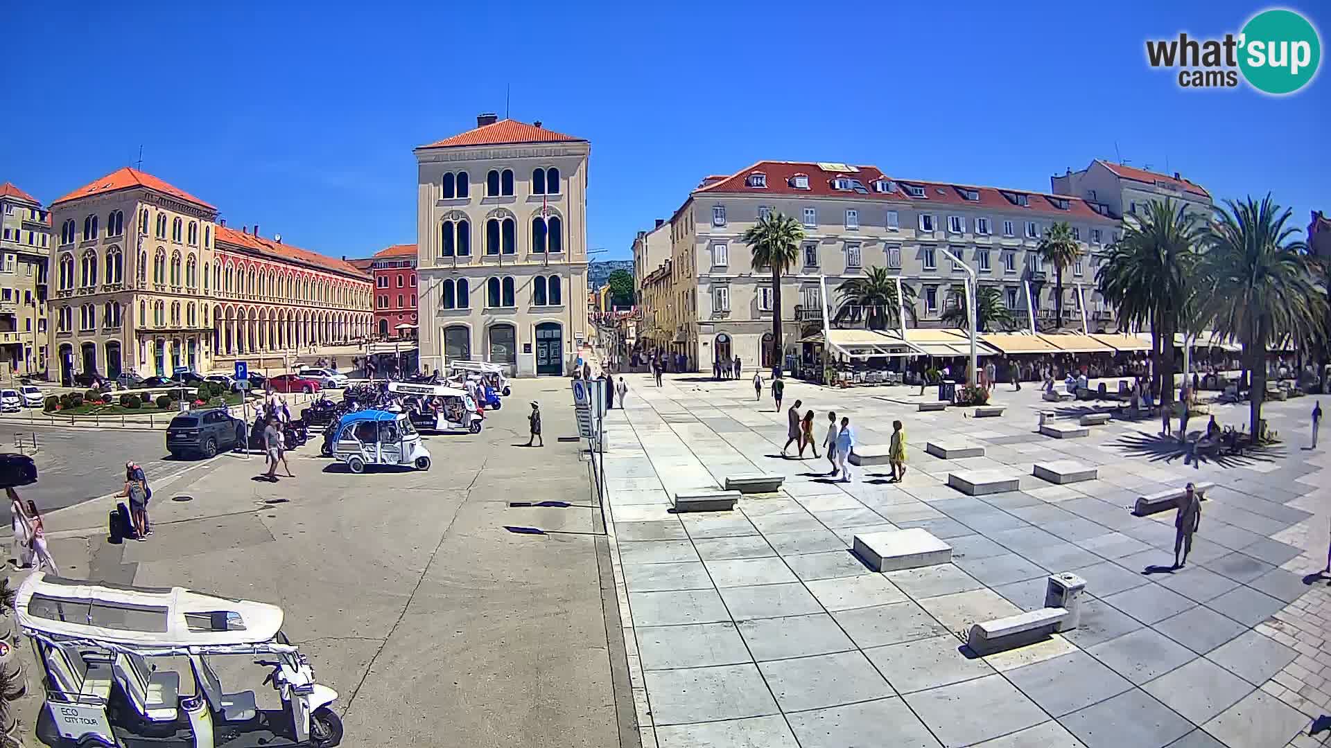 Webcam Split Riva – Prokurative | Trg Republike