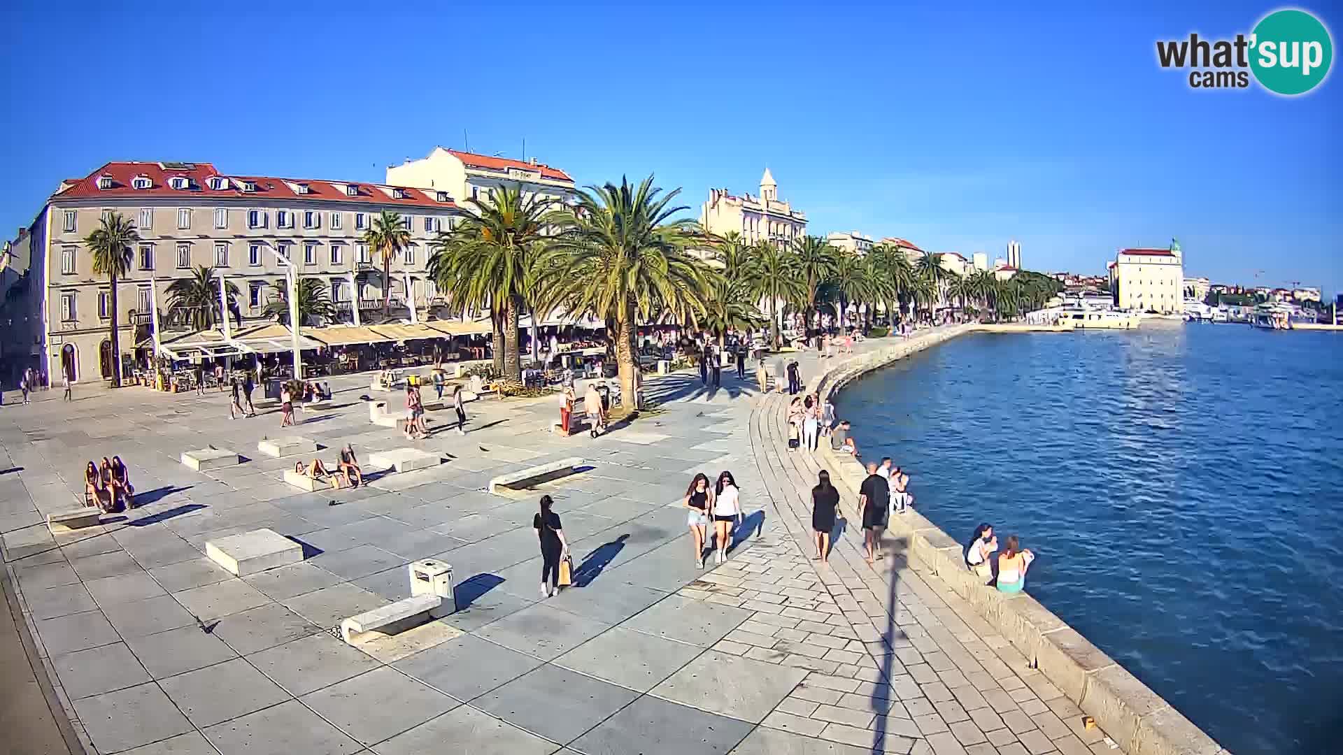 Webcam Split Riva – Prokurative | Trg Republike