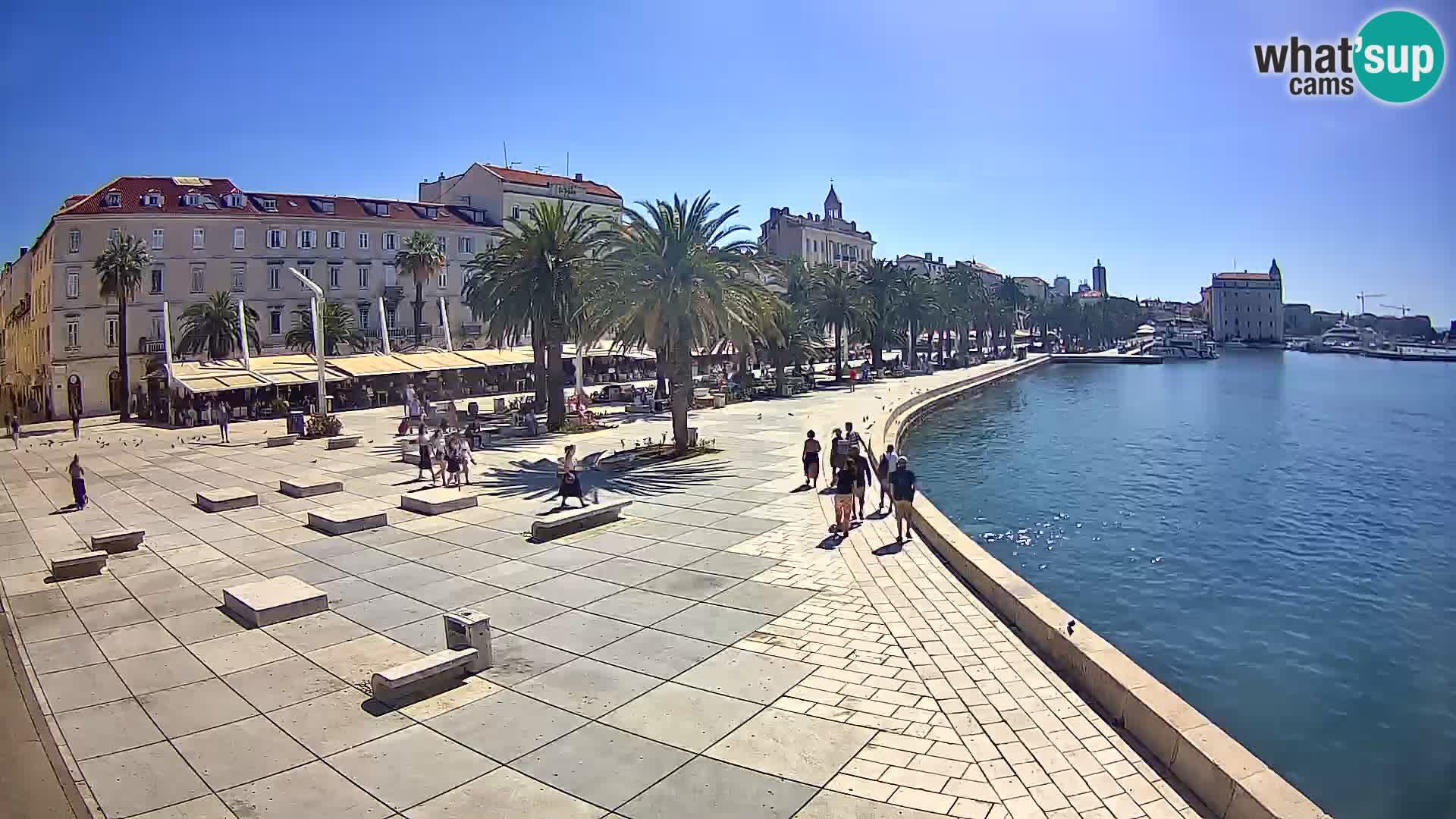Webcam Split Riva – Prokurative | Trg Republike