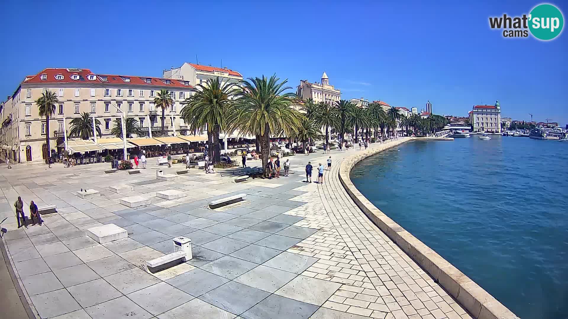 Webcam Split Riva – Prokurative | Trg Republike