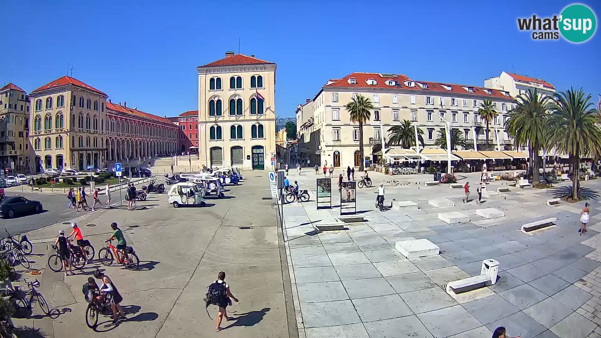 Webcam Split Riva – Prokurative | Trg Republike