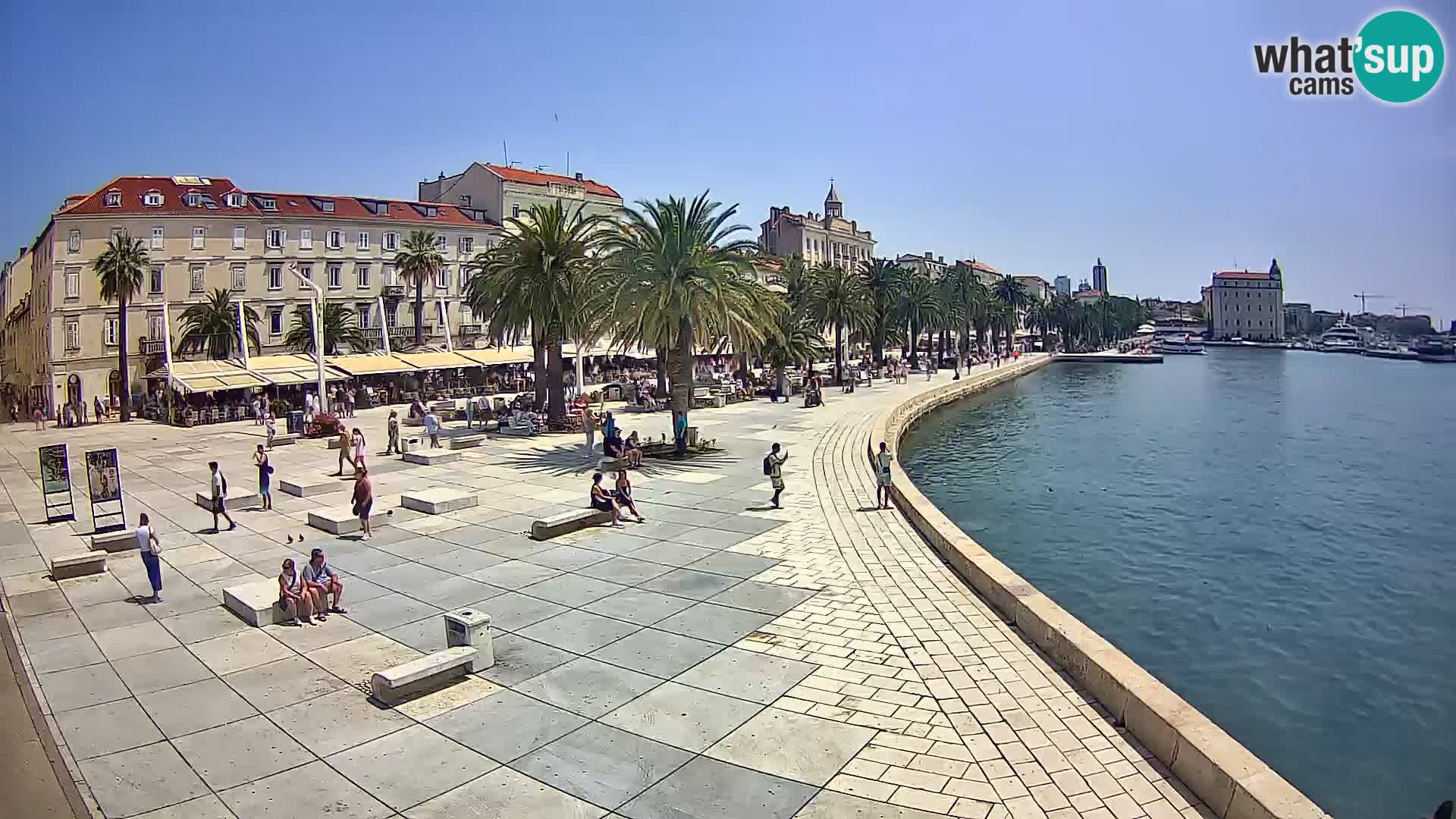 Webcam Split Riva – Prokurative | Trg Republike