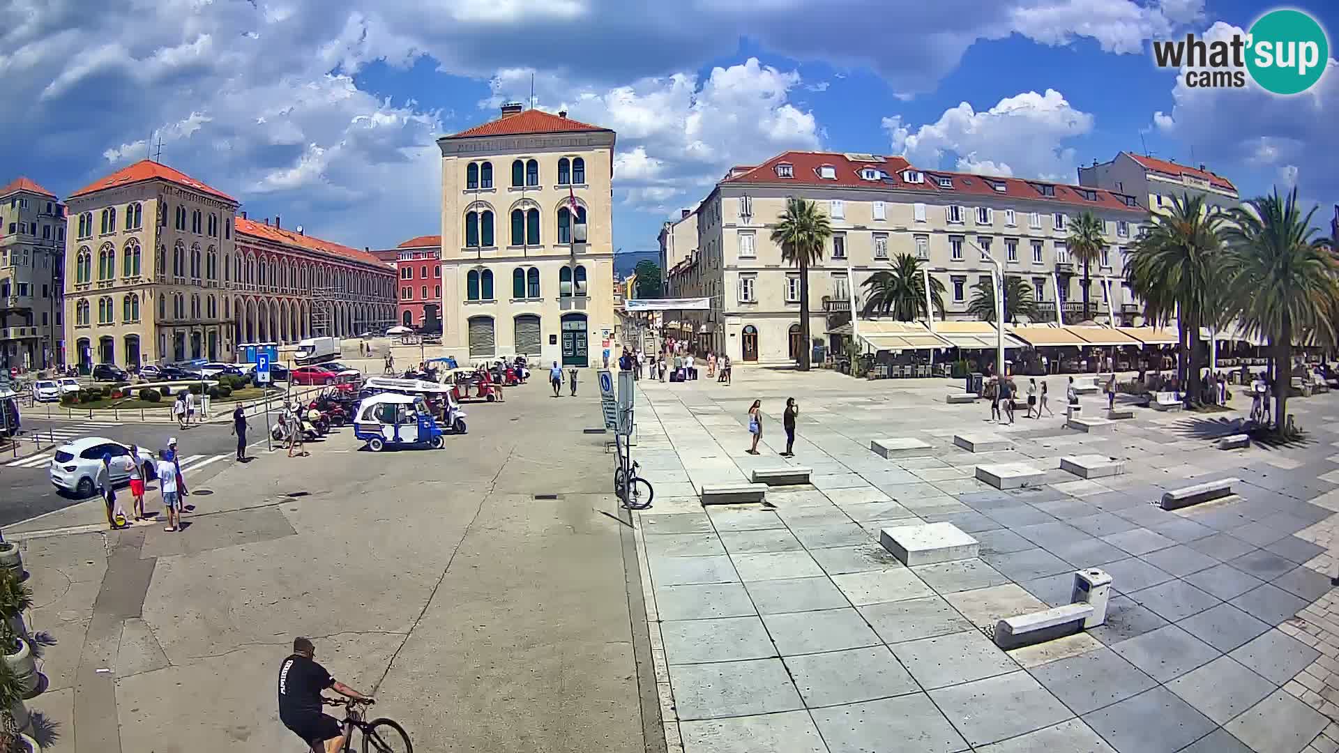 Webcam Split Riva – Prokurative | Trg Republike