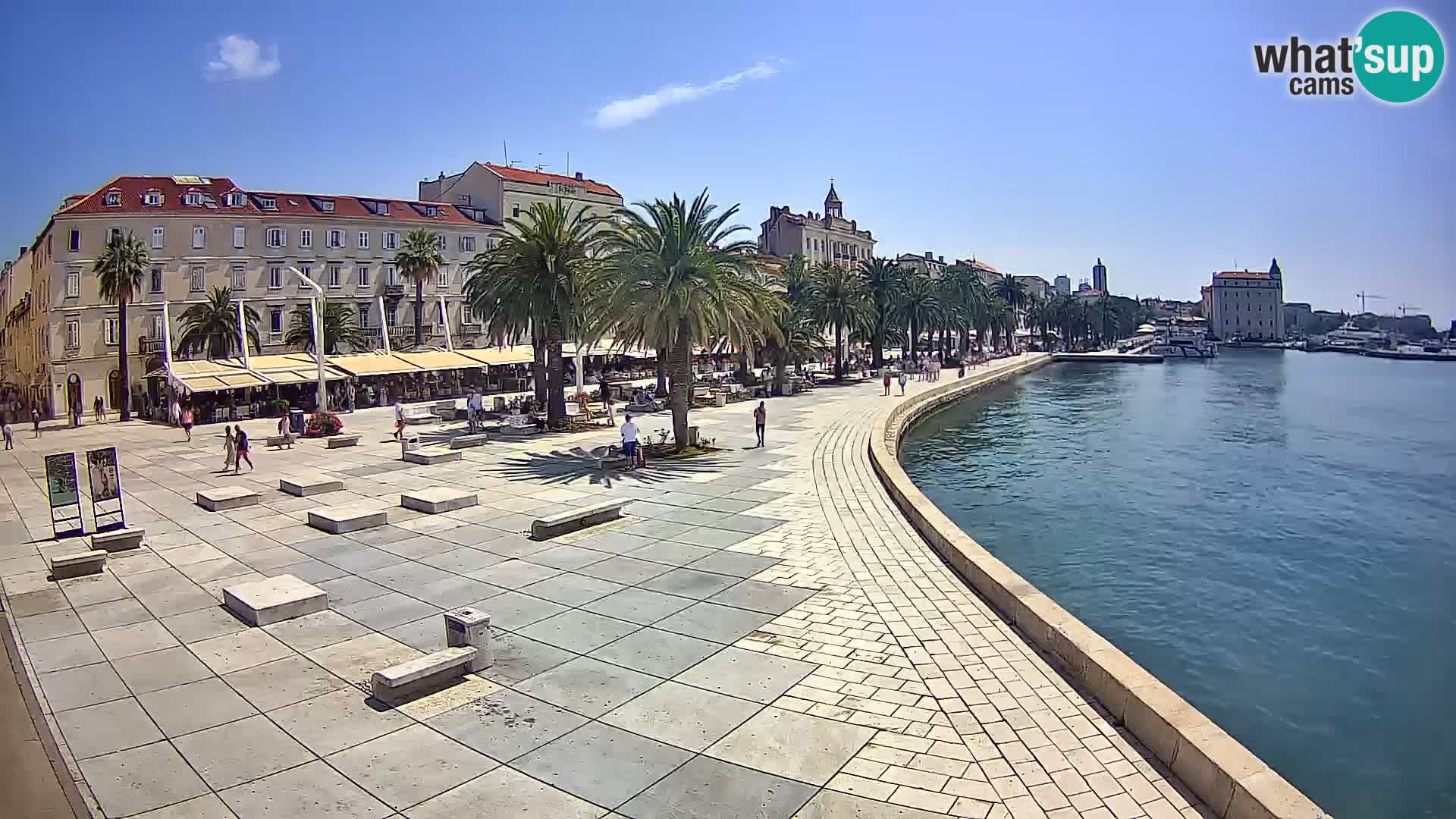 Webcam Split Riva – Prokurative | Trg Republike