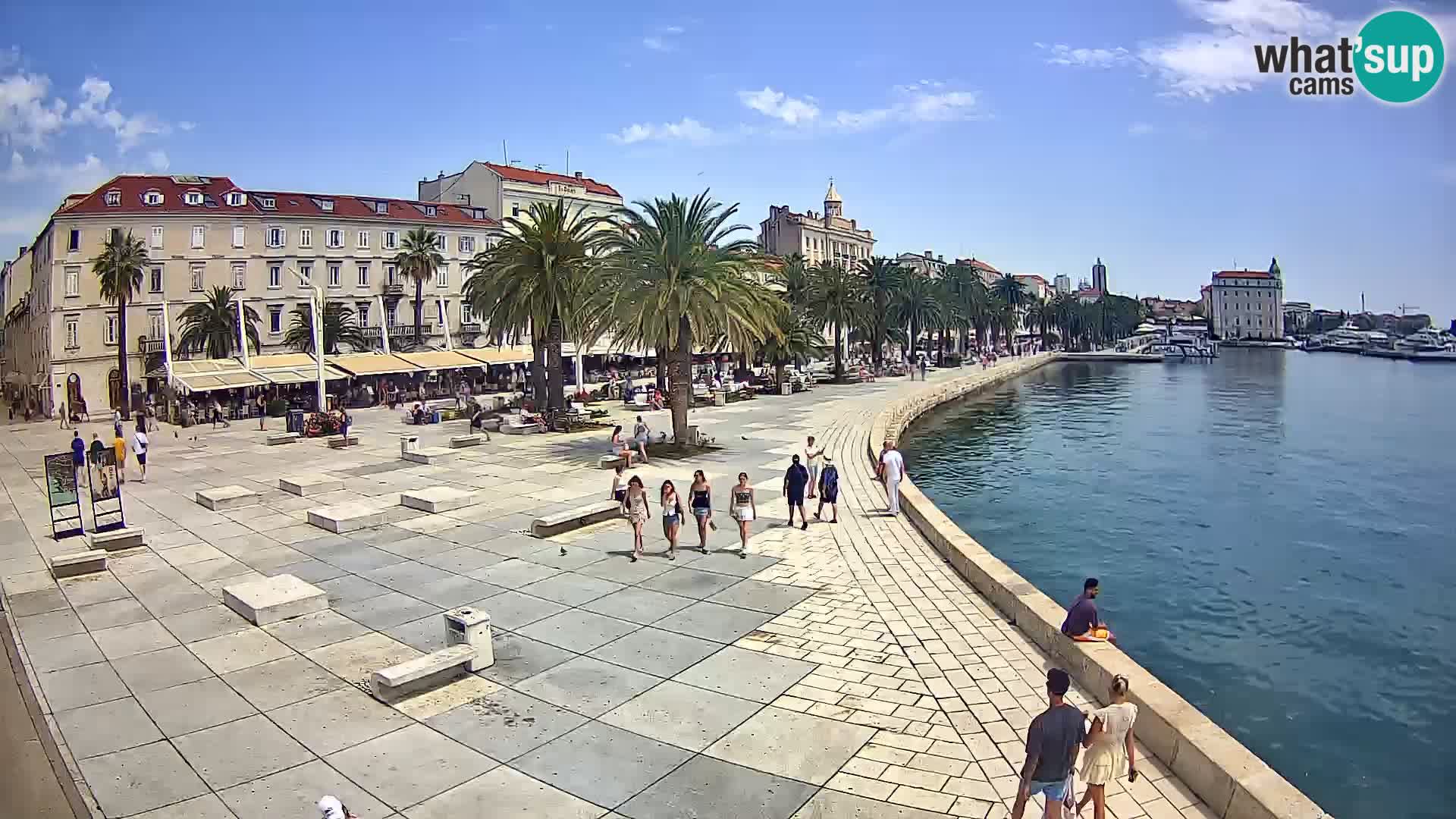 Webcam Split Riva – Prokurative | Trg Republike