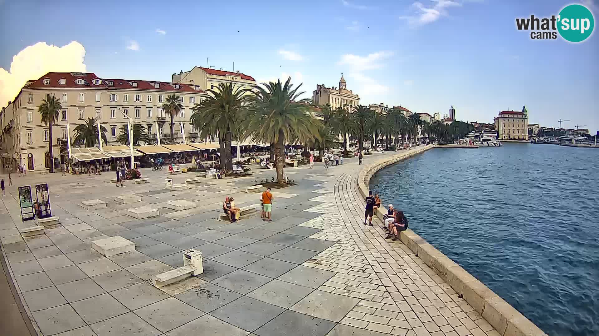 Webcam Split Riva – Prokurative | Trg Republike
