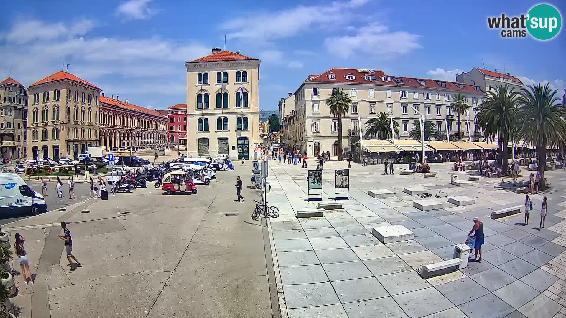 Webcam Split Riva – Prokurative | Trg Republike