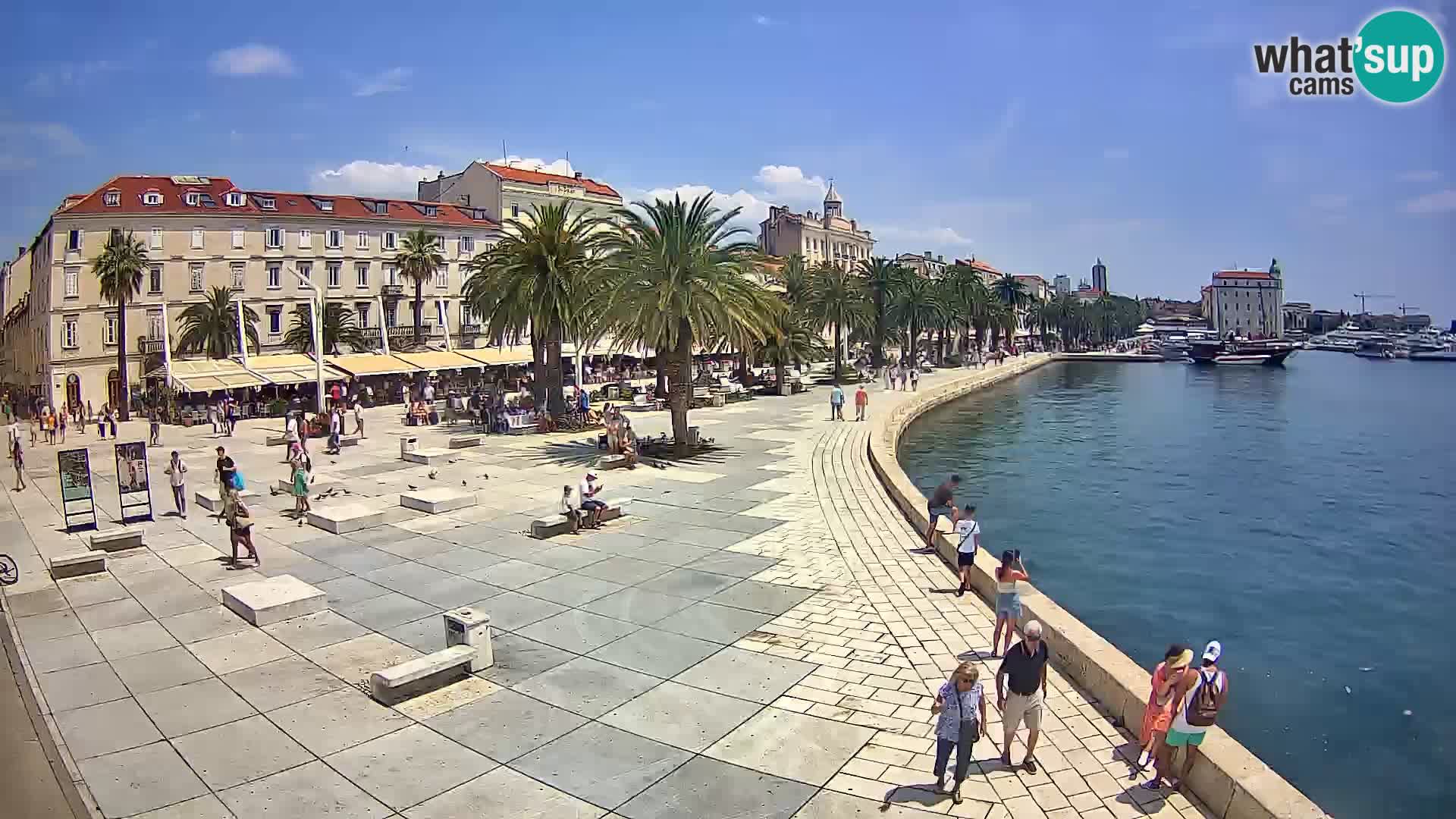 Webcam Split Riva – Prokurative | Trg Republike