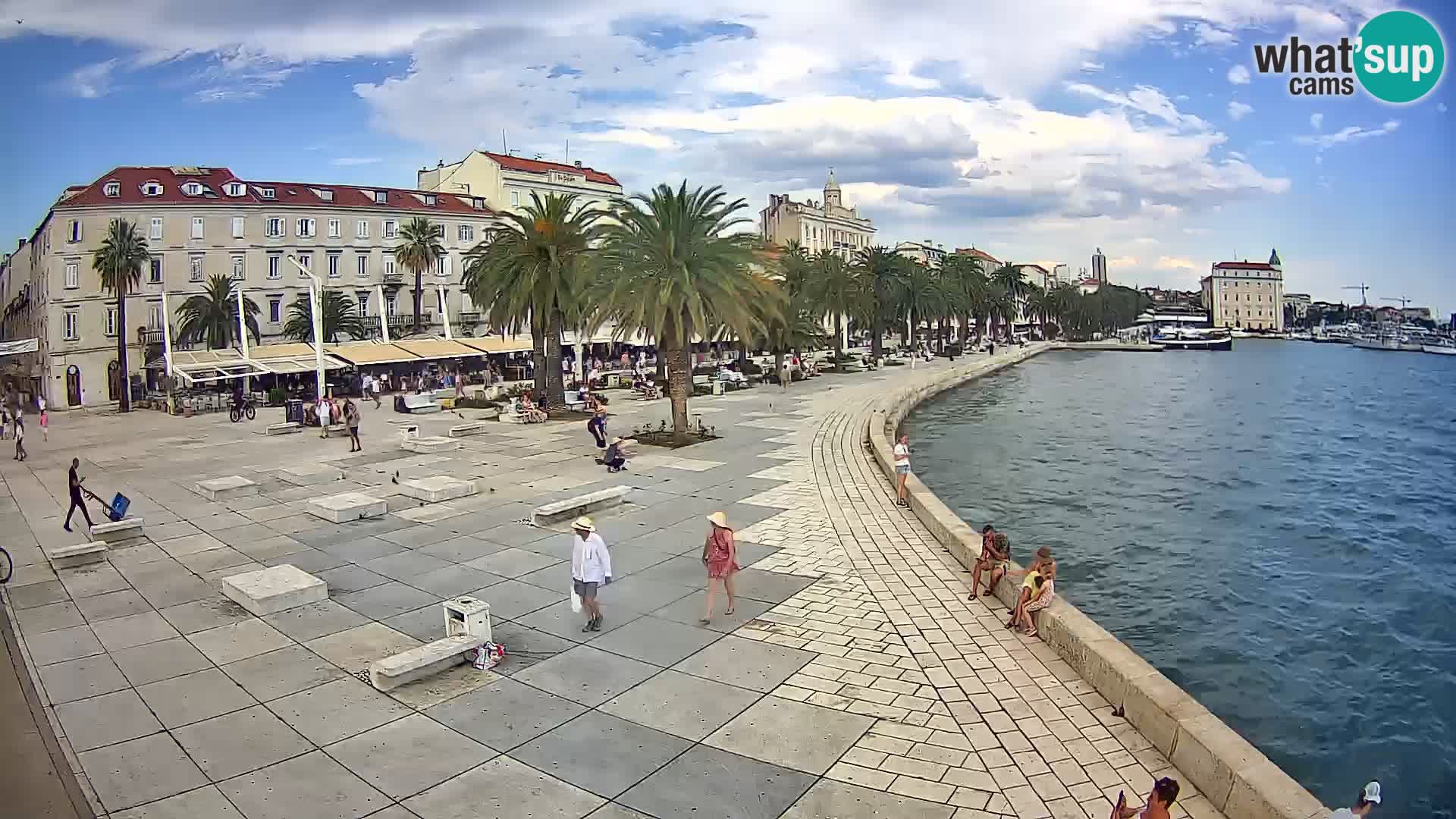 Webcam Split Riva – Prokurative | Trg Republike