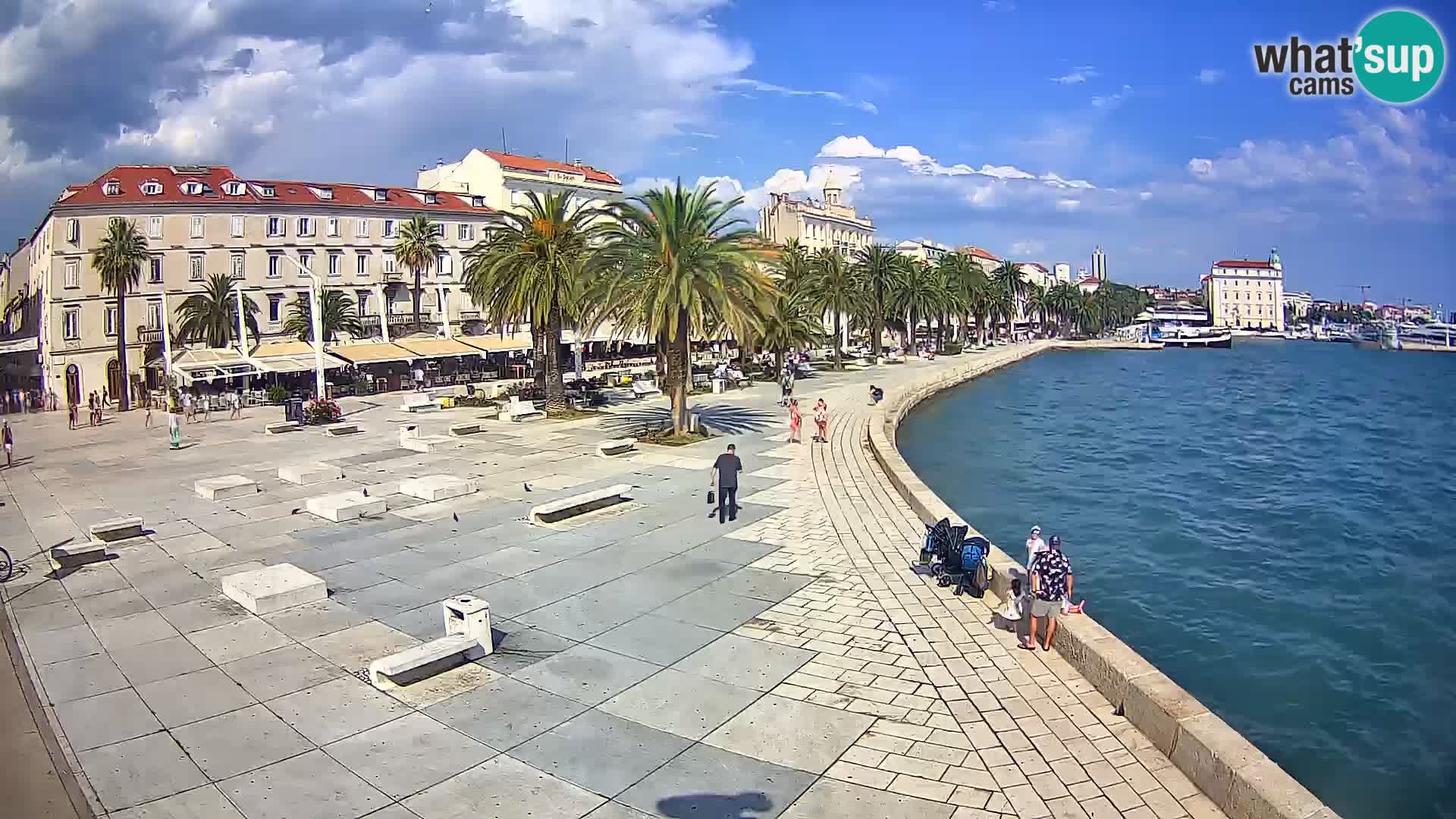 Webcam Split Riva – Prokurative | Trg Republike