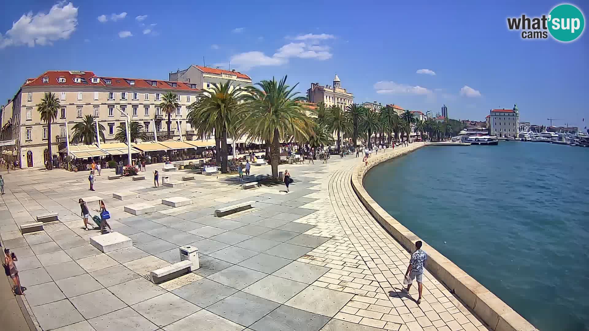 Webcam Split Riva – Prokurative | Trg Republike
