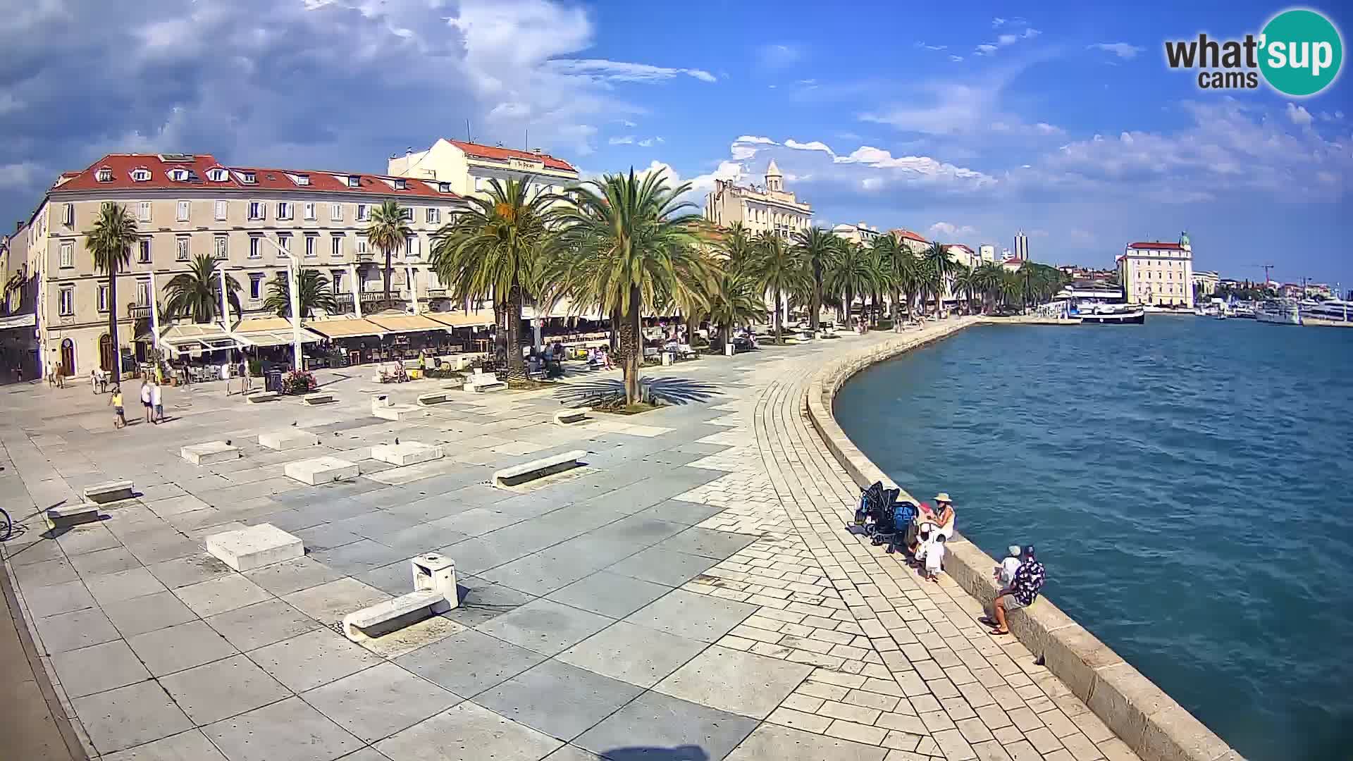 Webcam Split Riva – Prokurative | Trg Republike