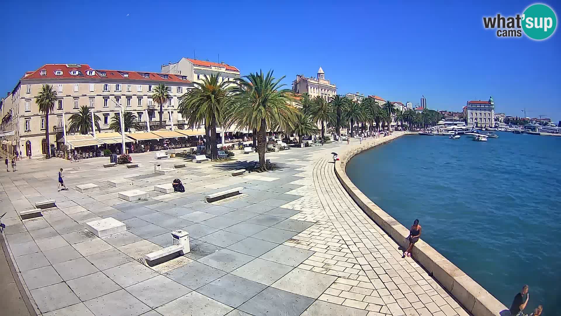 Webcam Split Riva – Prokurative | Trg Republike