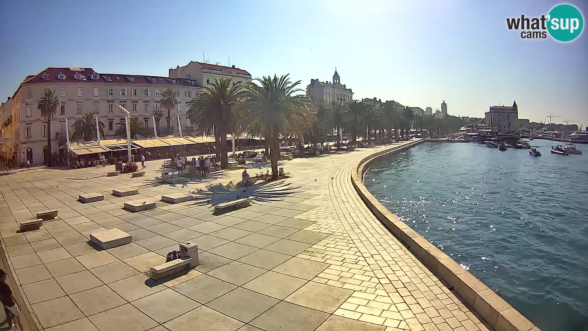 Webcam Split Riva – Prokurative | Trg Republike