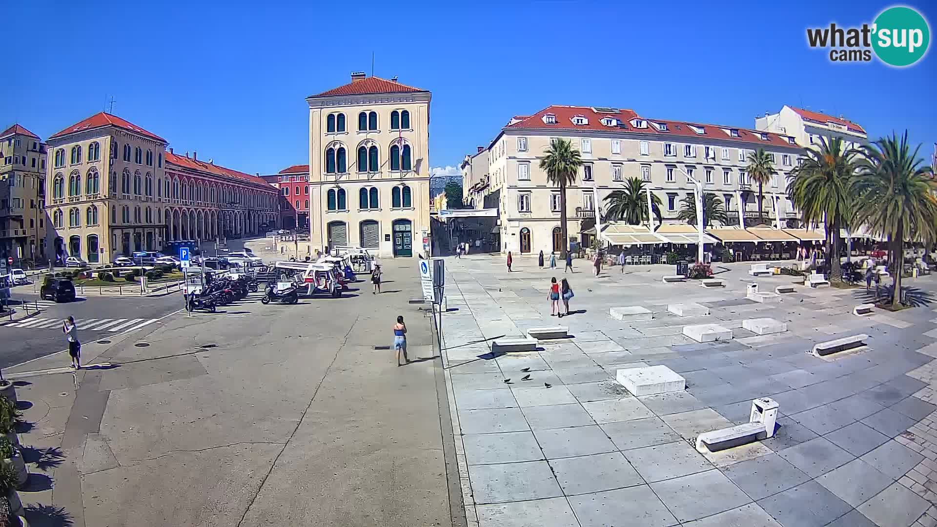 Webcam Split Riva – Prokurative | Trg Republike