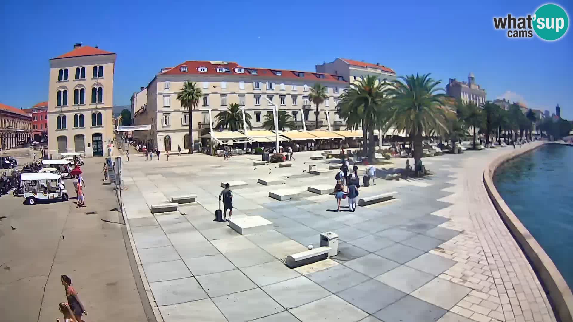 Webcam Split Riva – Prokurative | Trg Republike