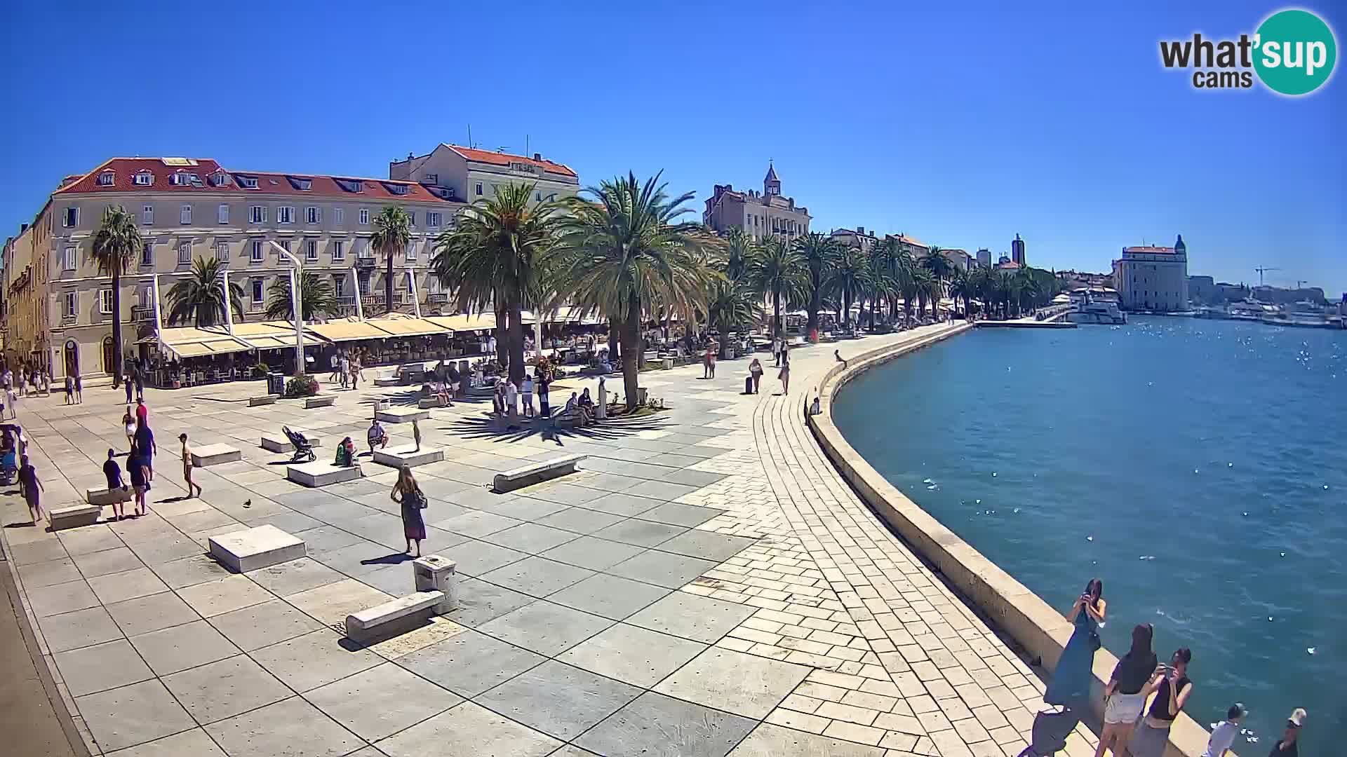 Webcam Split Riva – Prokurative | Trg Republike