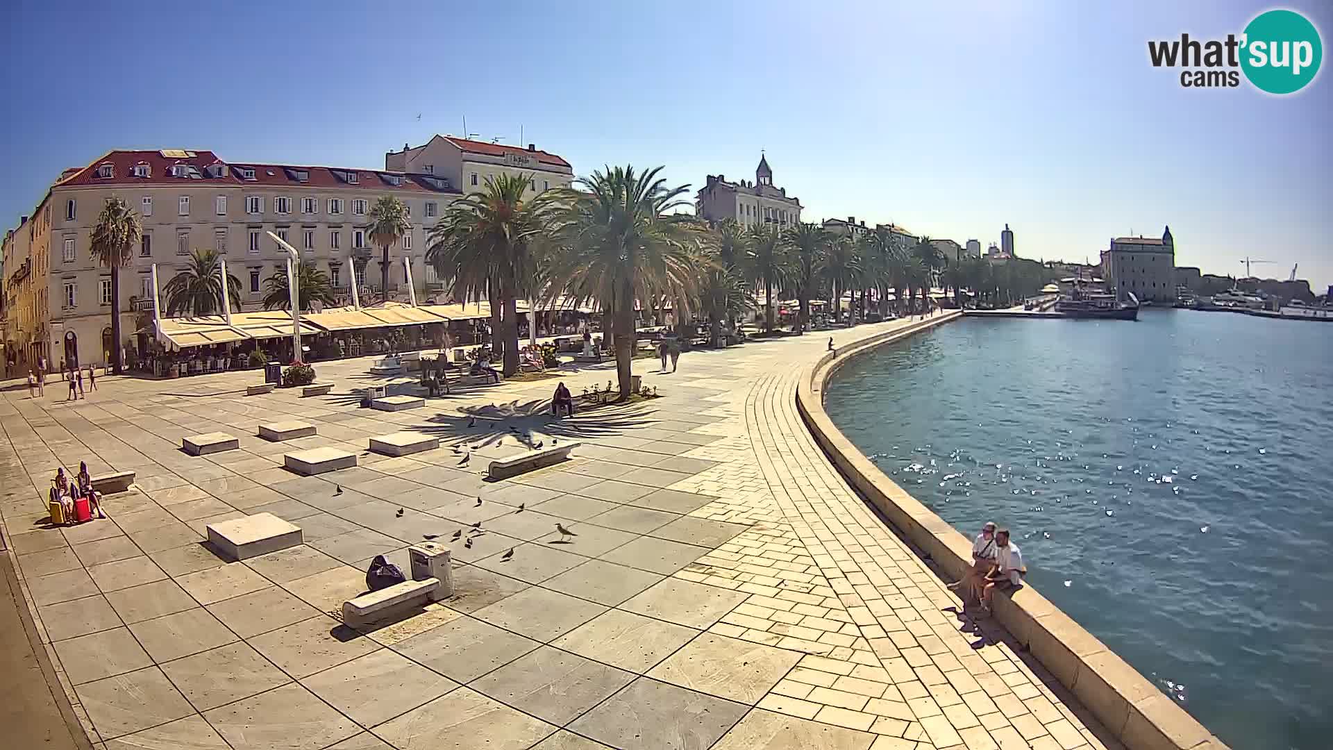 Webcam Split Riva – Prokurative | Trg Republike