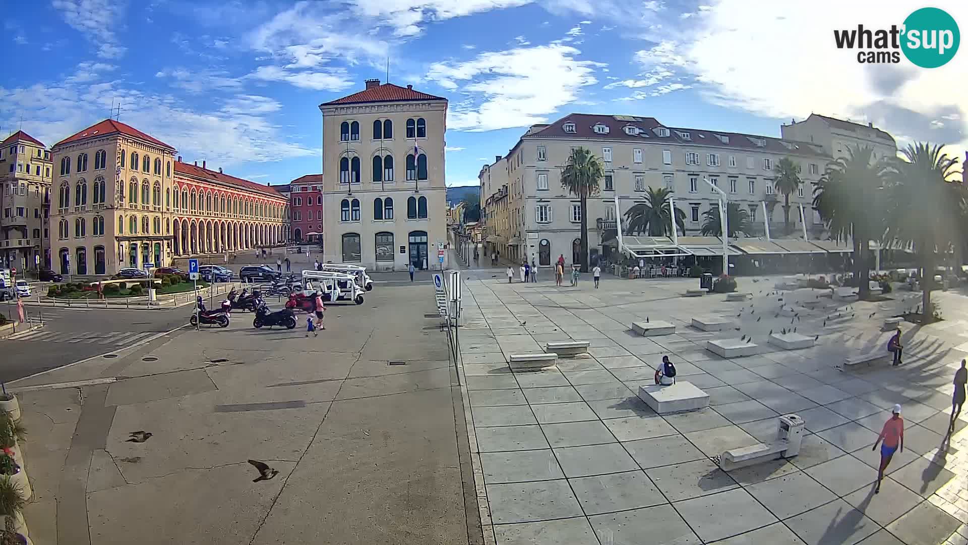 Webcam Split Riva – Prokurative | Trg Republike