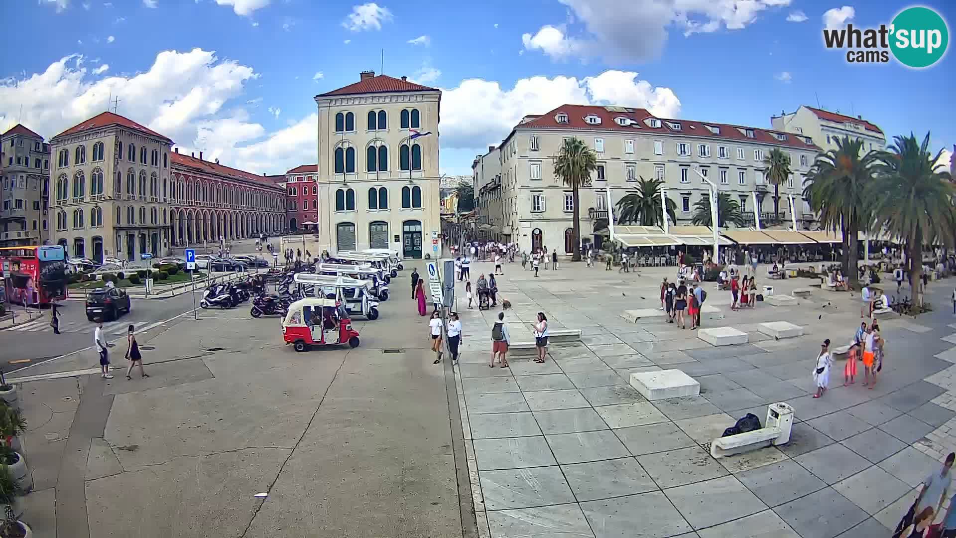 Webcam Split Riva – Prokurative | Trg Republike