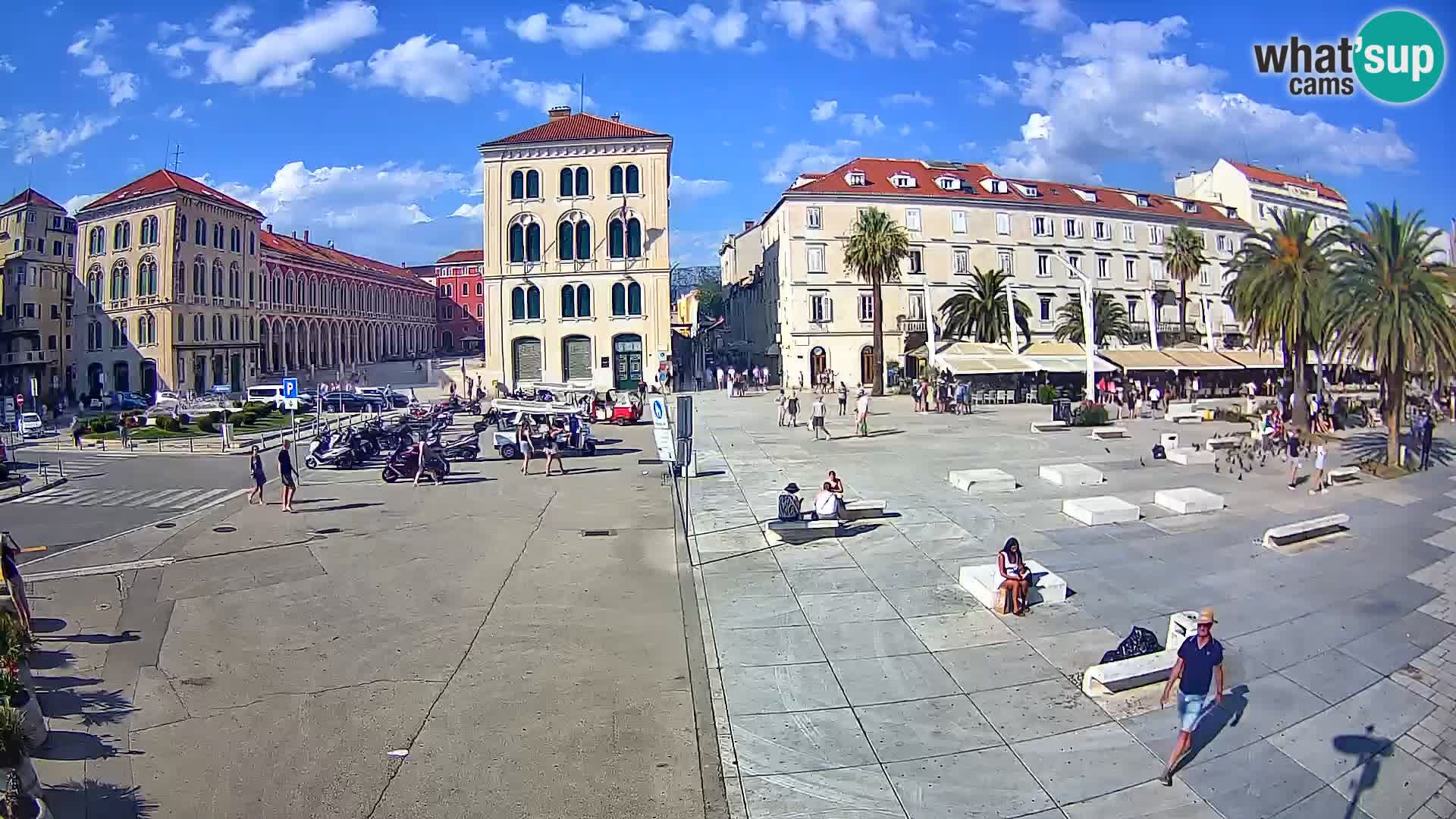 Webcam Split Riva – Prokurative | Trg Republike