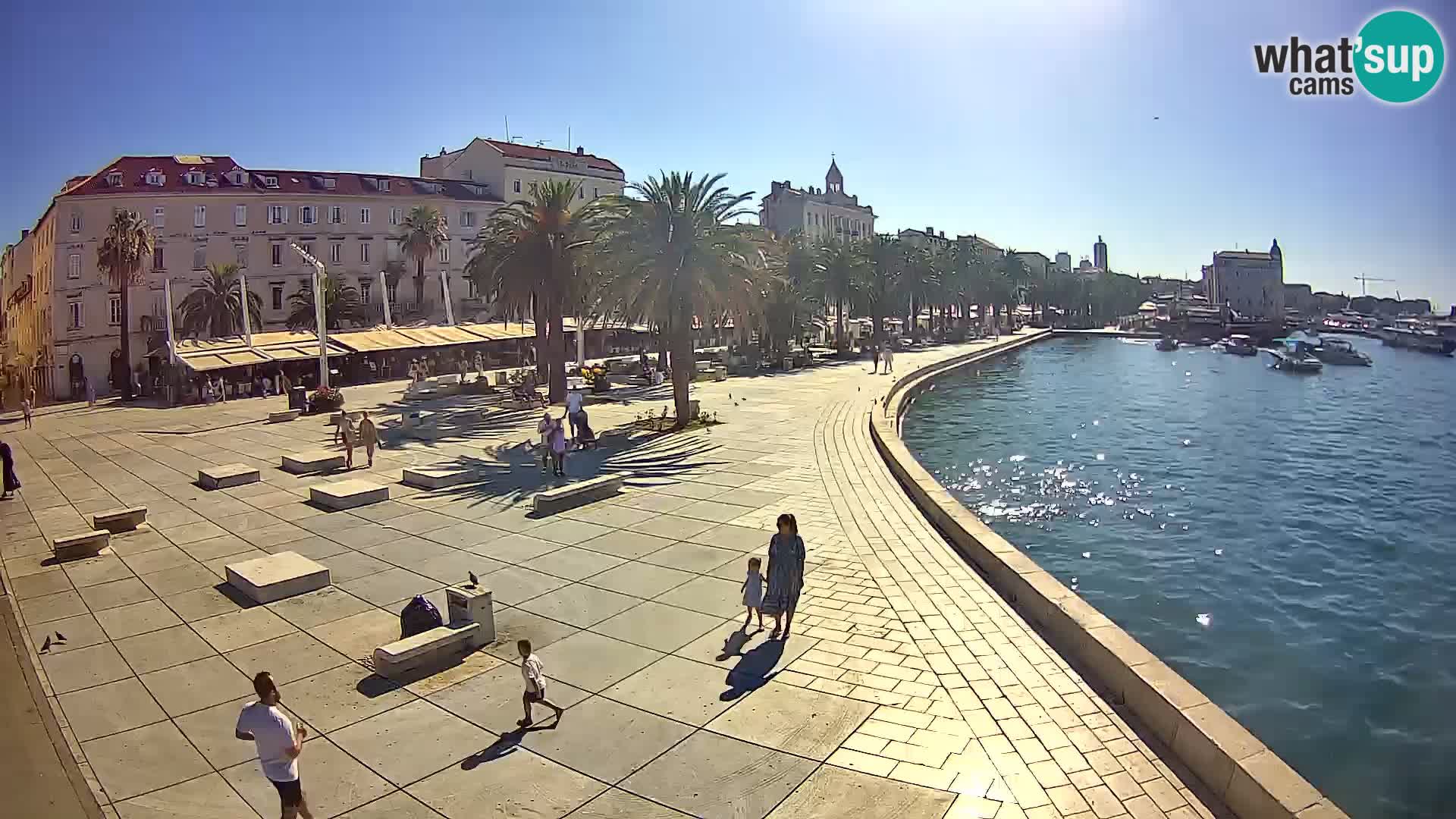 Webcam Split Riva – Prokurative | Trg Republike
