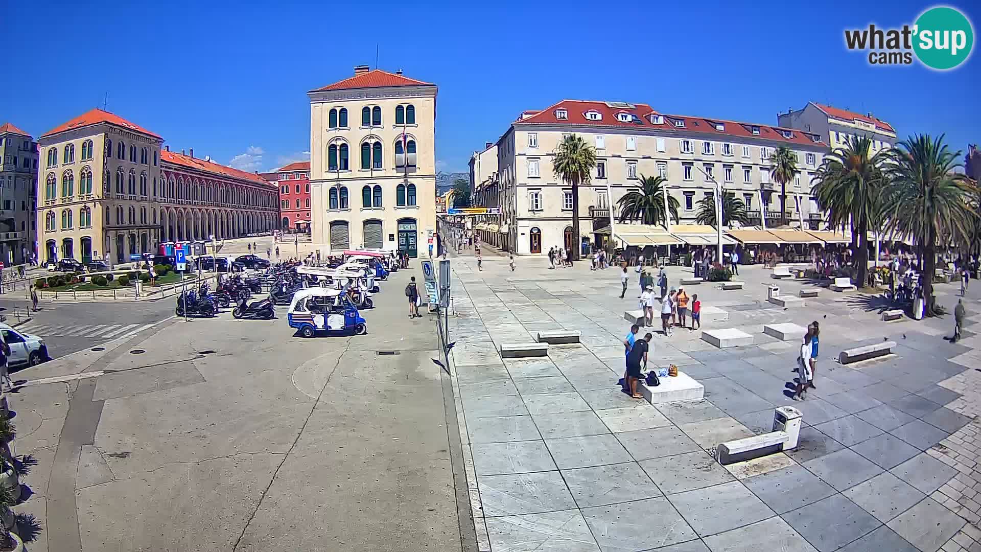 Webcam Split Riva – Prokurative | Trg Republike