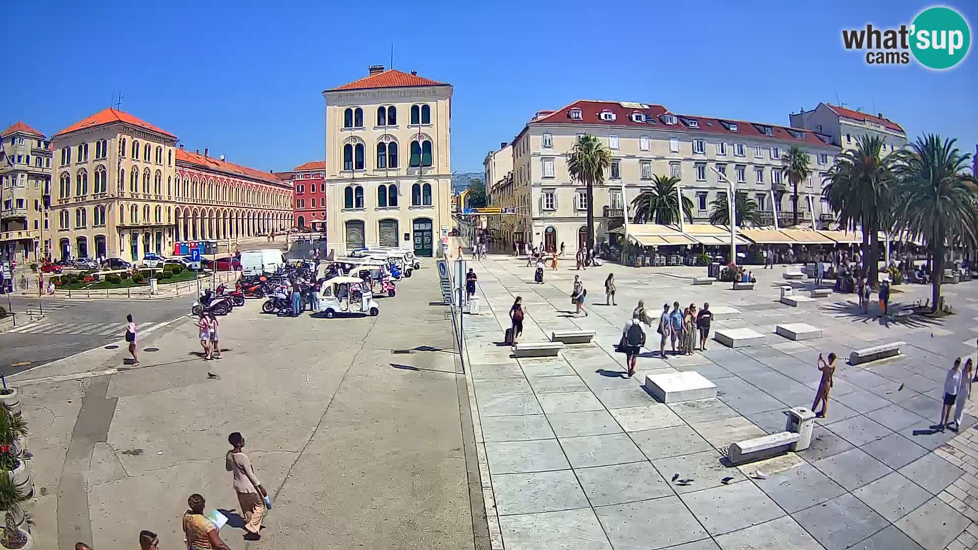 Webcam Split Riva – Prokurative | Trg Republike