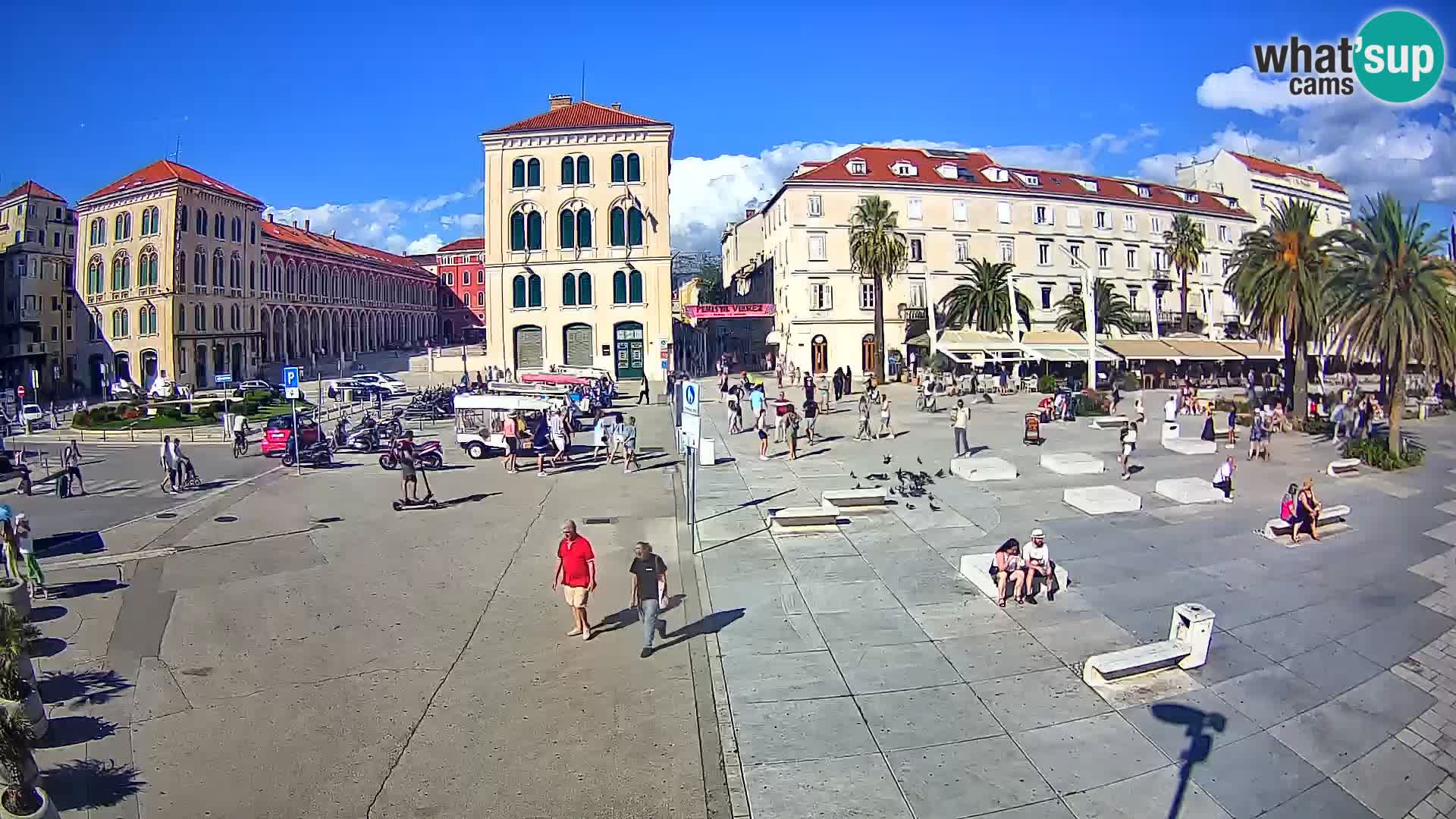 Webcam Split Riva – Prokurative | Trg Republike