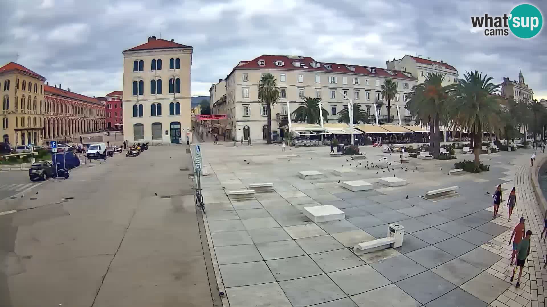 Webcam Split Riva – Prokurative | Trg Republike