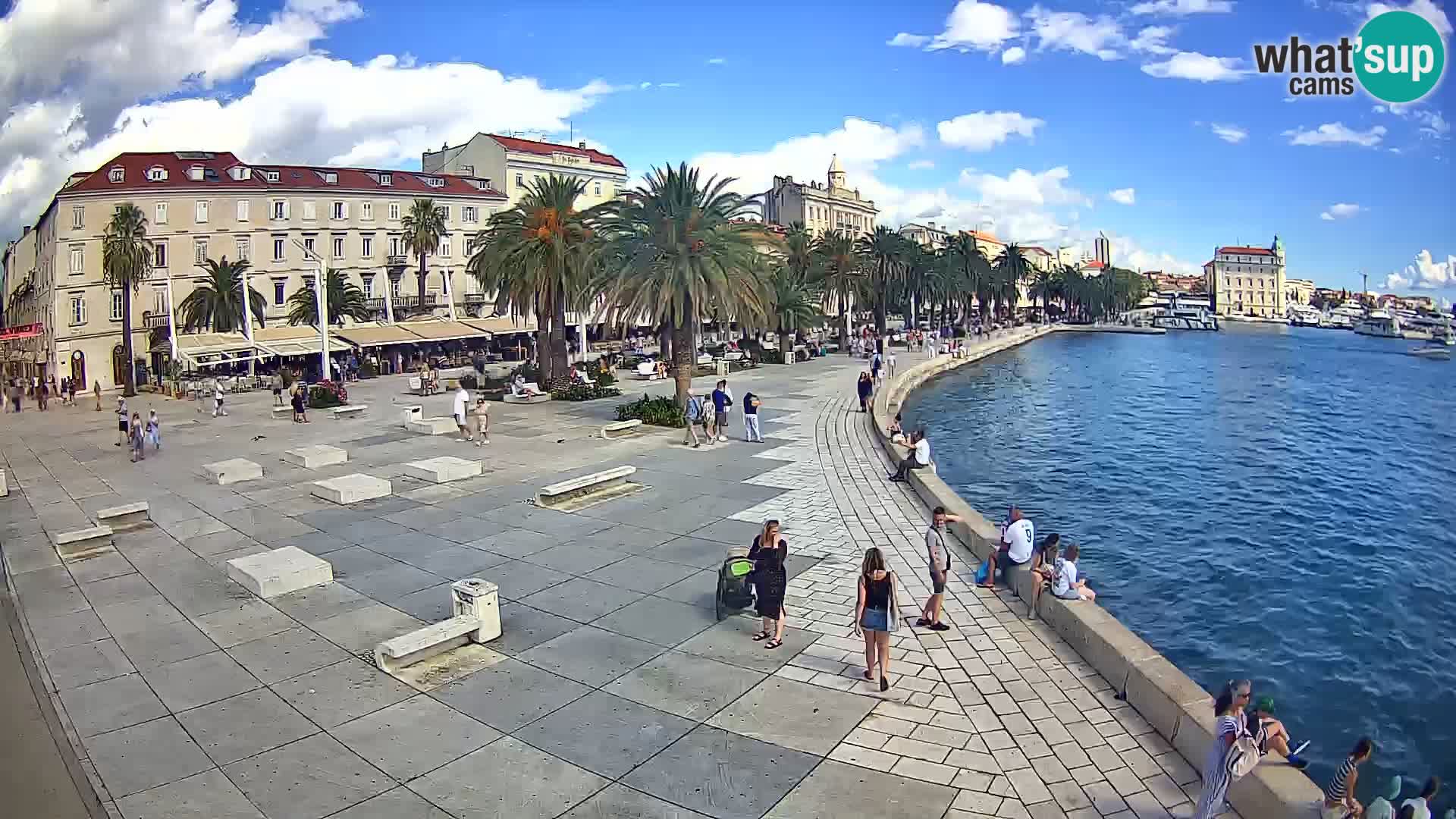 Webcam Split Riva – Prokurative | Trg Republike