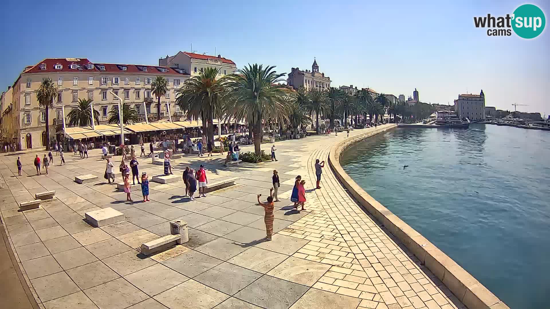 Webcam Split Riva – Prokurative | Trg Republike