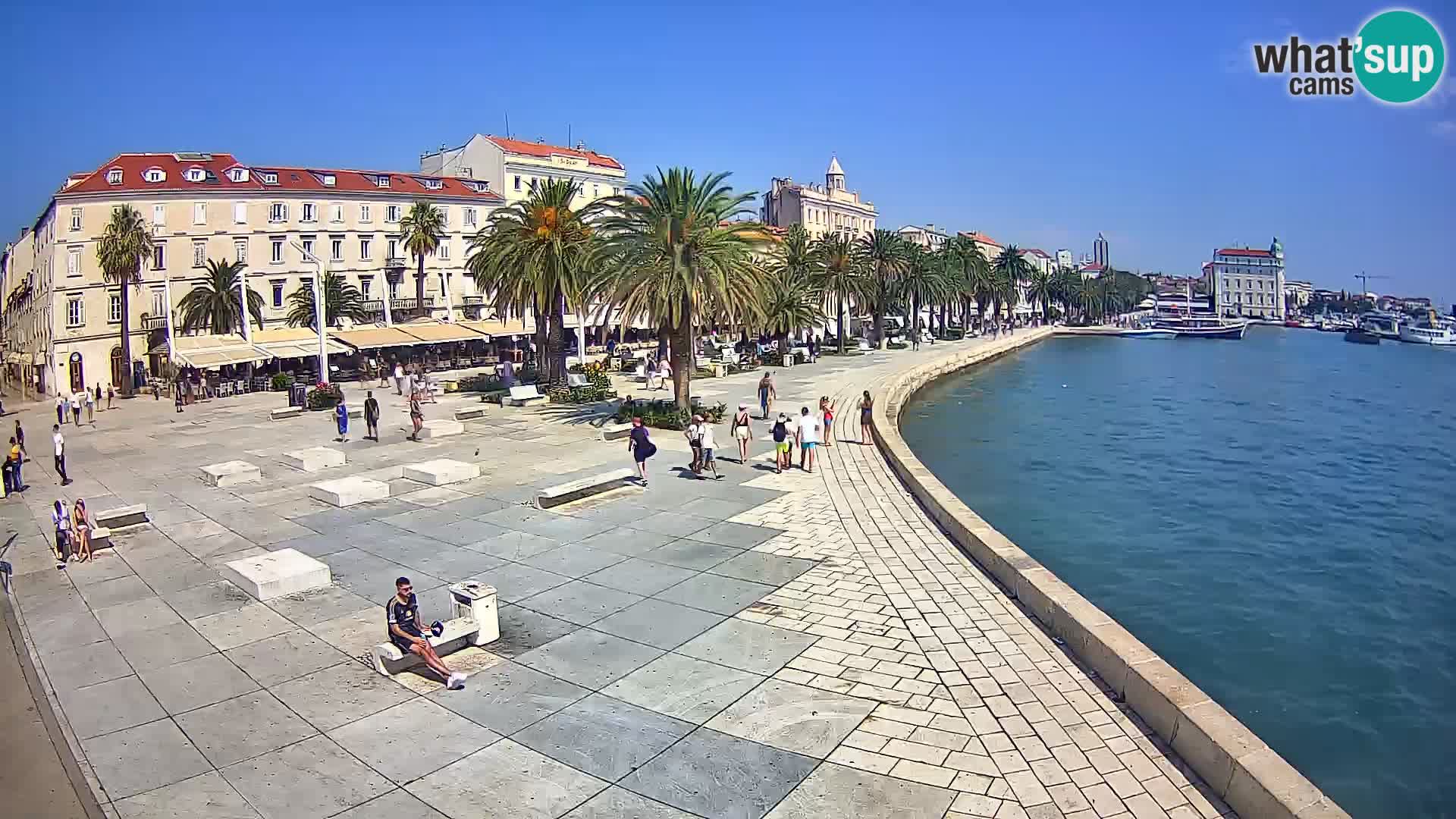 Webcam Split Riva – Prokurative | Trg Republike