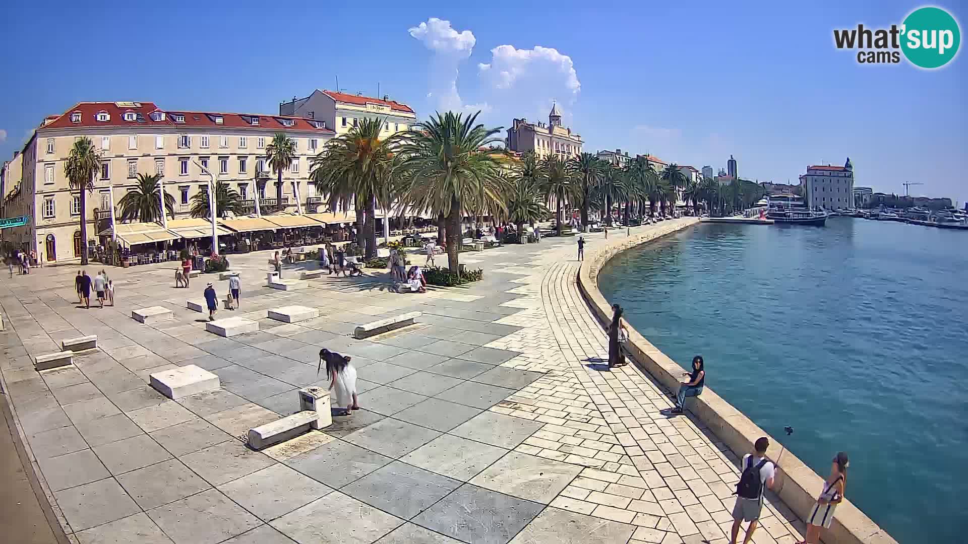Webcam Split Riva – Prokurative | Trg Republike