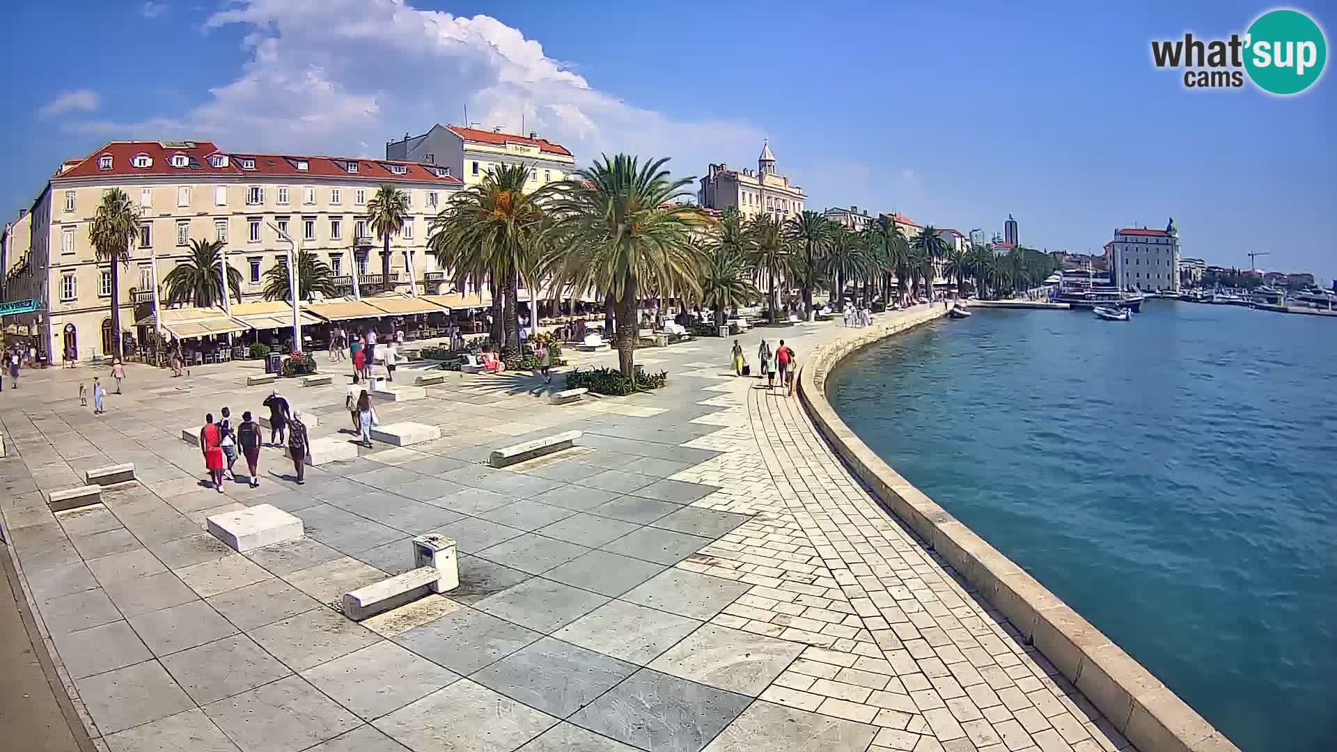 Webcam Split Riva – Prokurative | Trg Republike