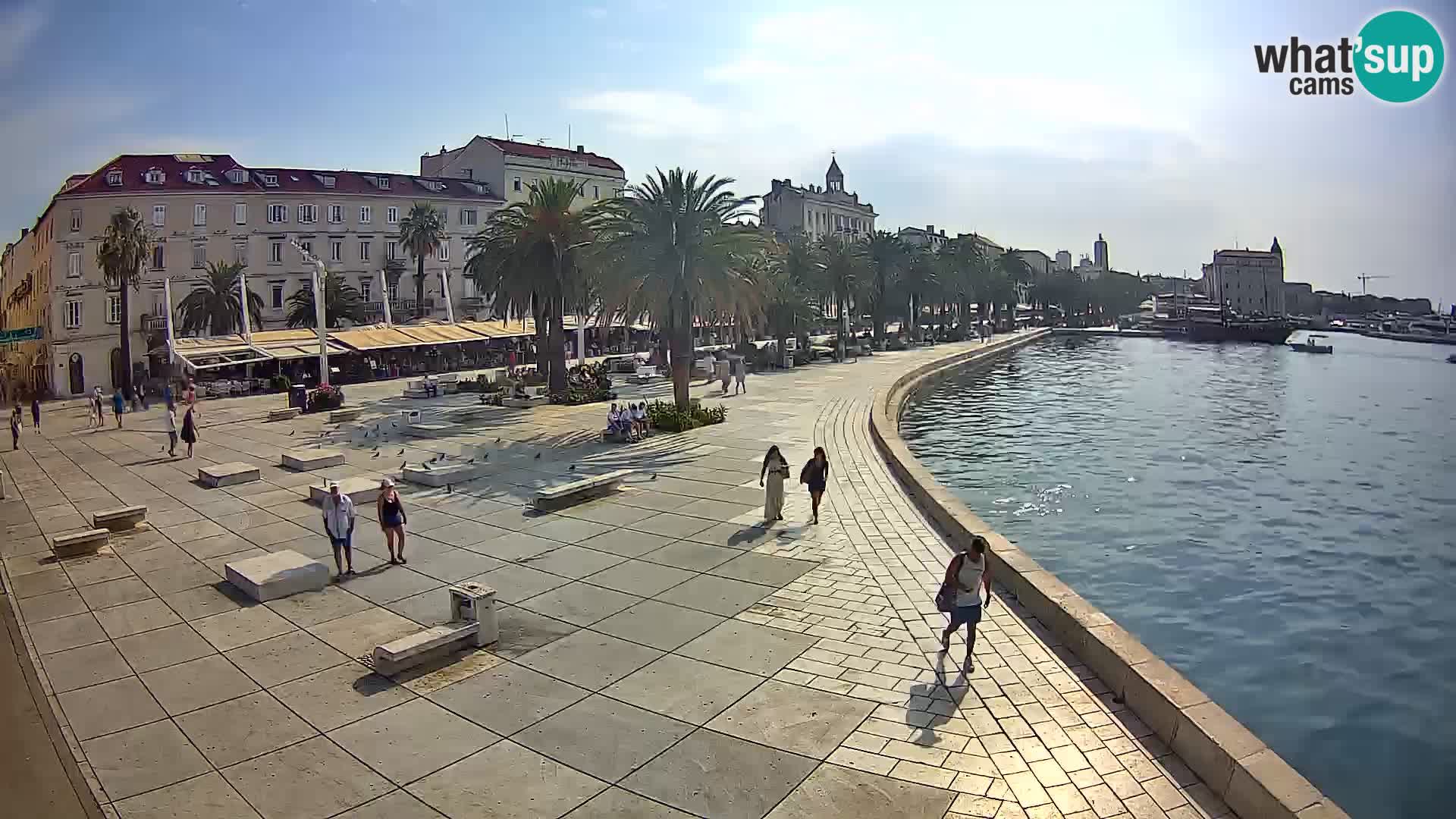 Webcam Split Riva – Prokurative | Trg Republike