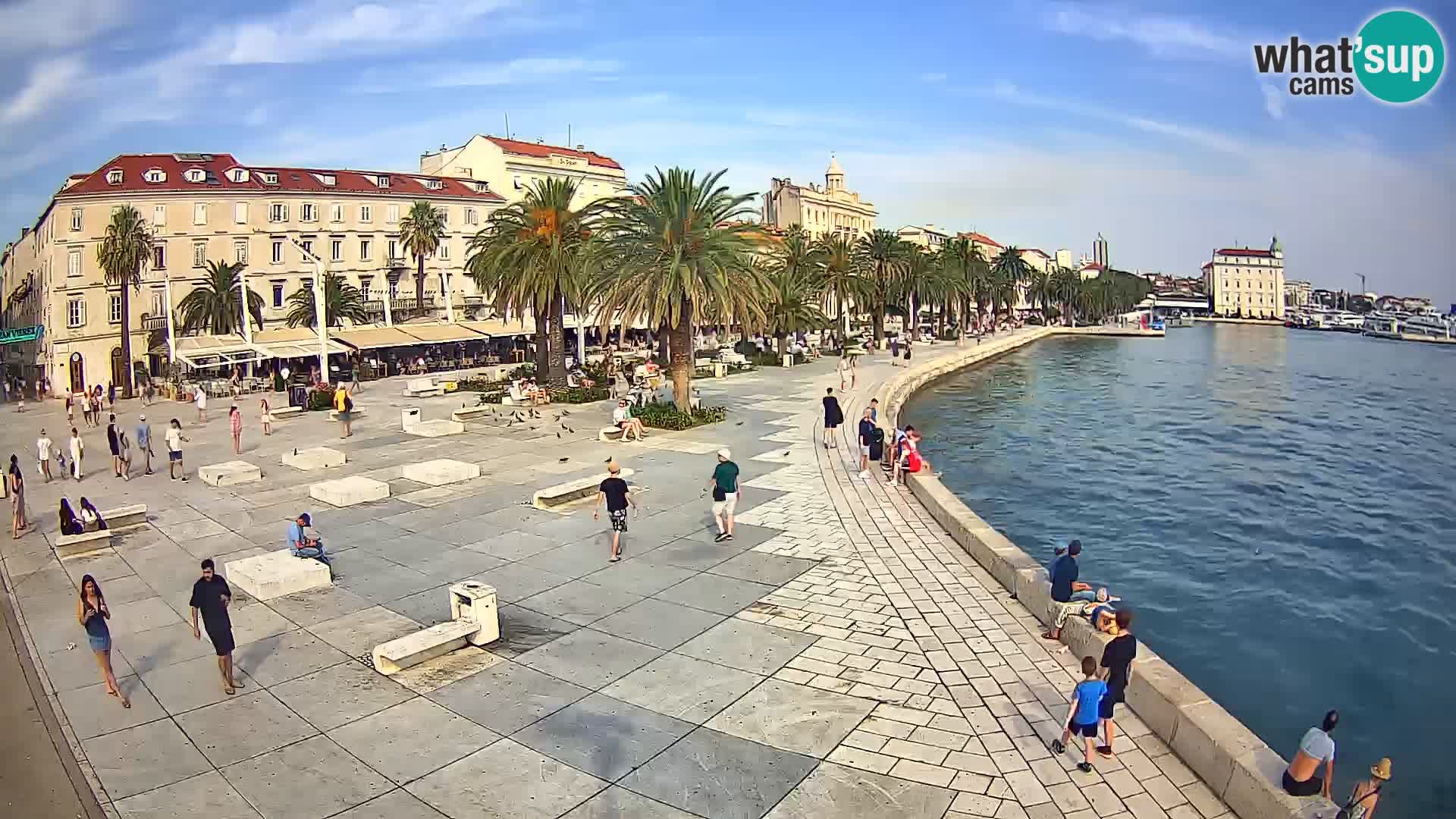 Webcam Split Riva – Prokurative | Trg Republike