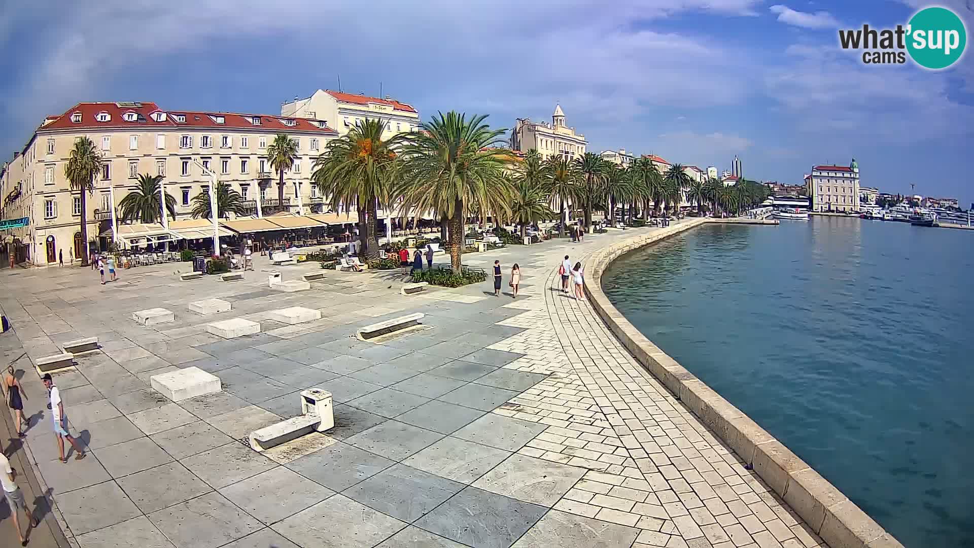 Webcam Split Riva – Prokurative | Trg Republike