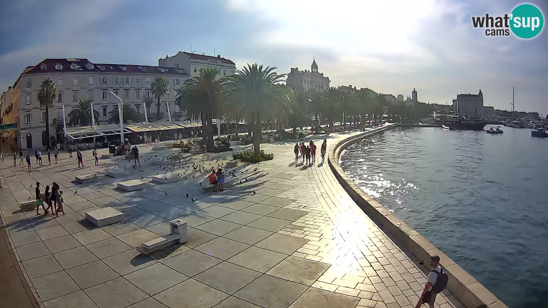 Webcam Split Riva – Prokurative | Trg Republike