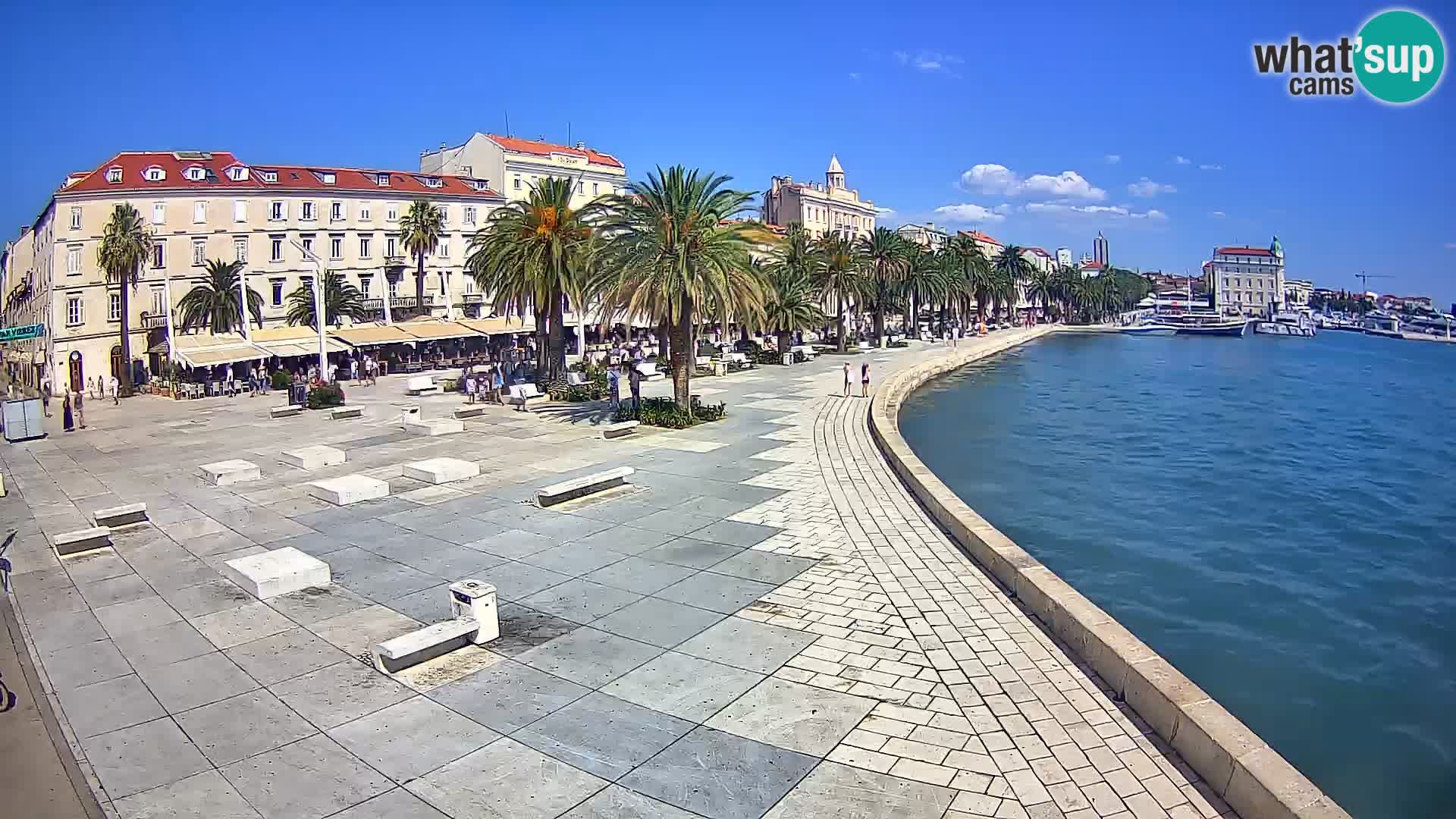 Webcam Split Riva – Prokurative | Trg Republike