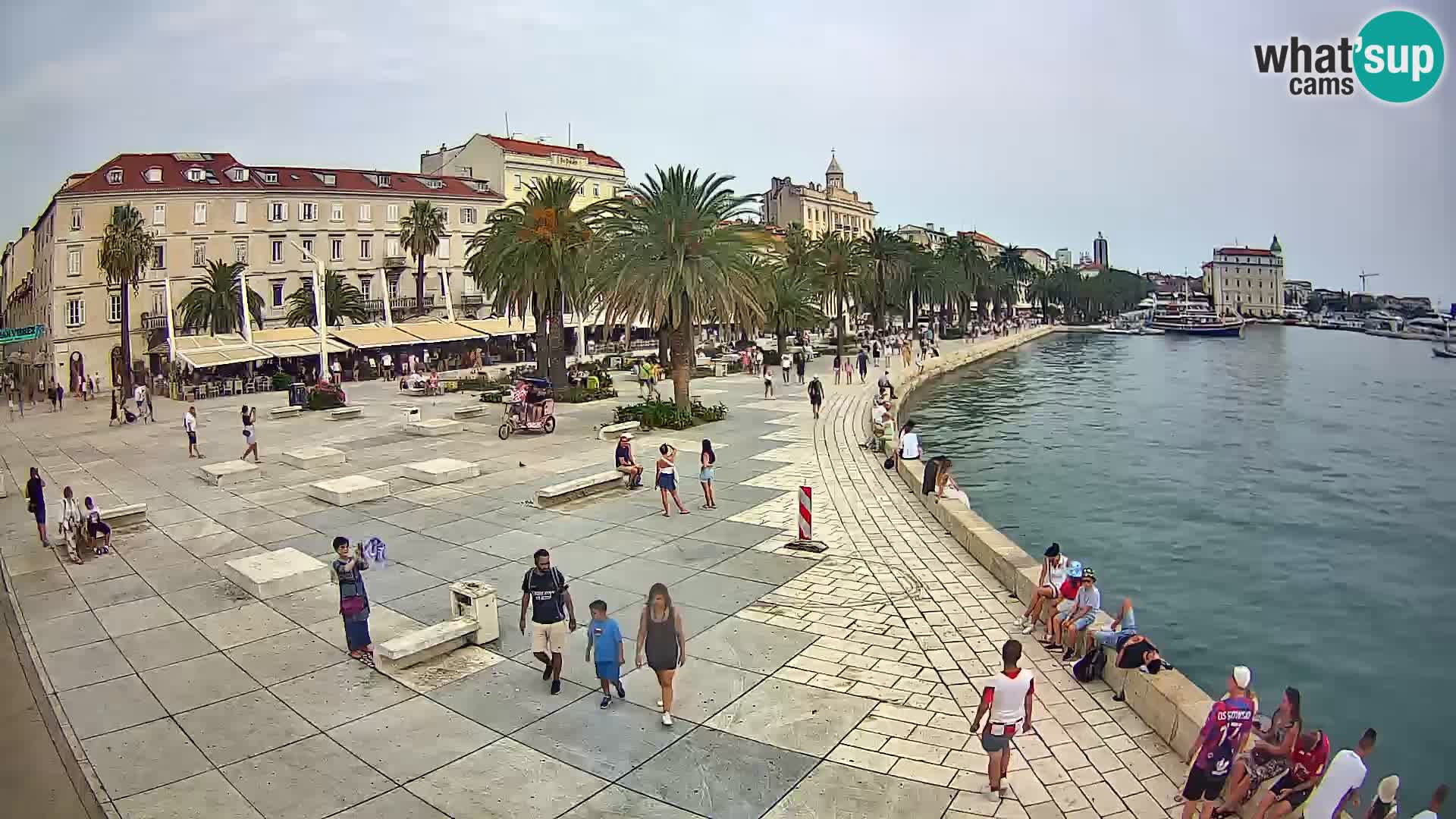 Webcam Split Riva – Prokurative | Trg Republike