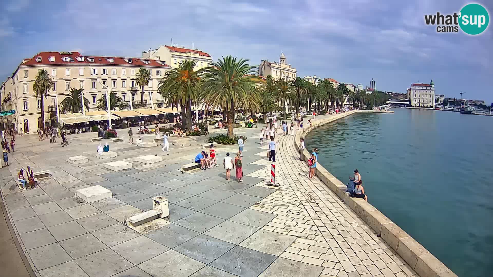 Webcam Split Riva – Prokurative | Trg Republike