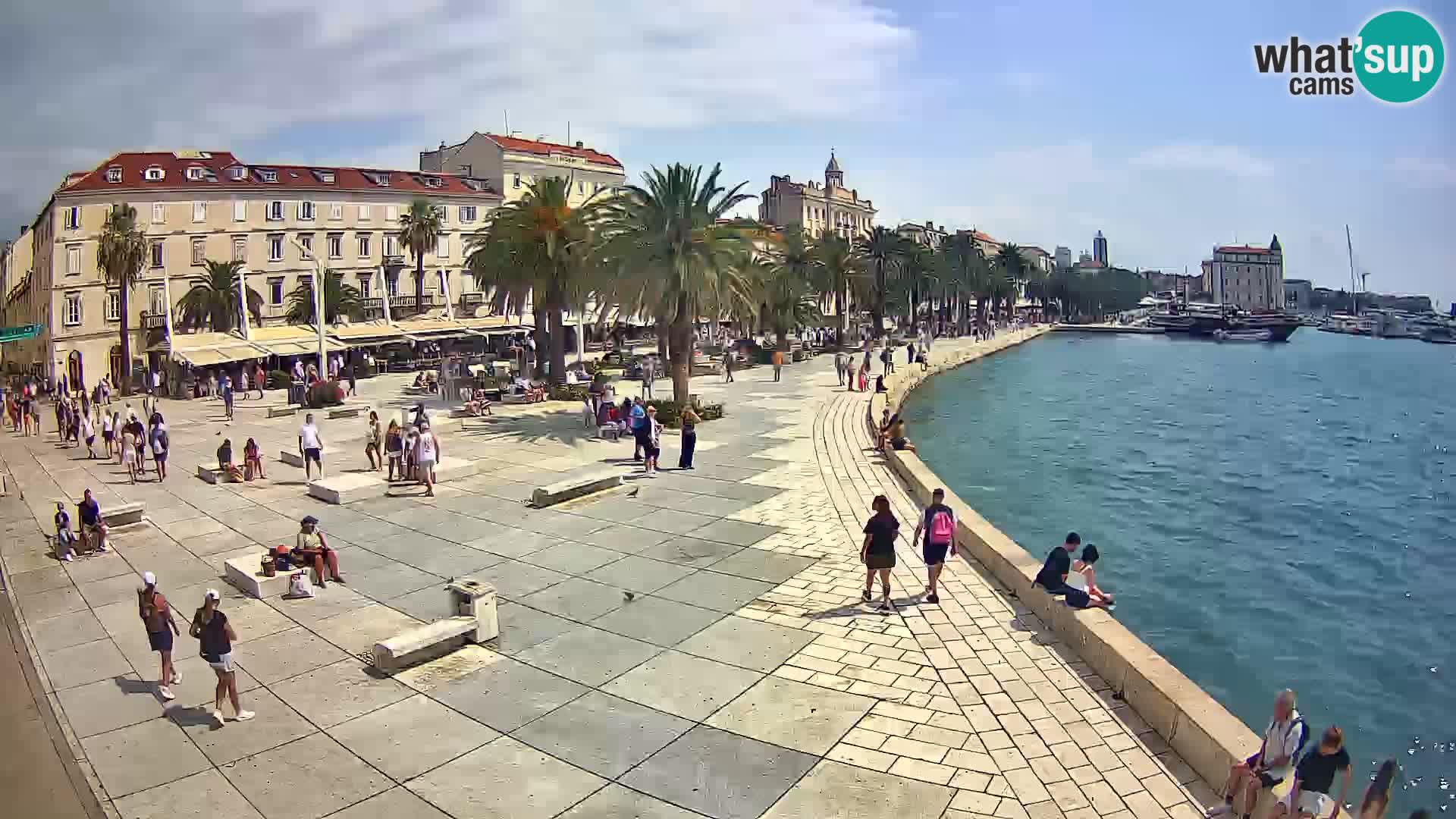 Webcam Split Riva – Prokurative | Trg Republike